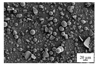 Polymers 14 00759 i002