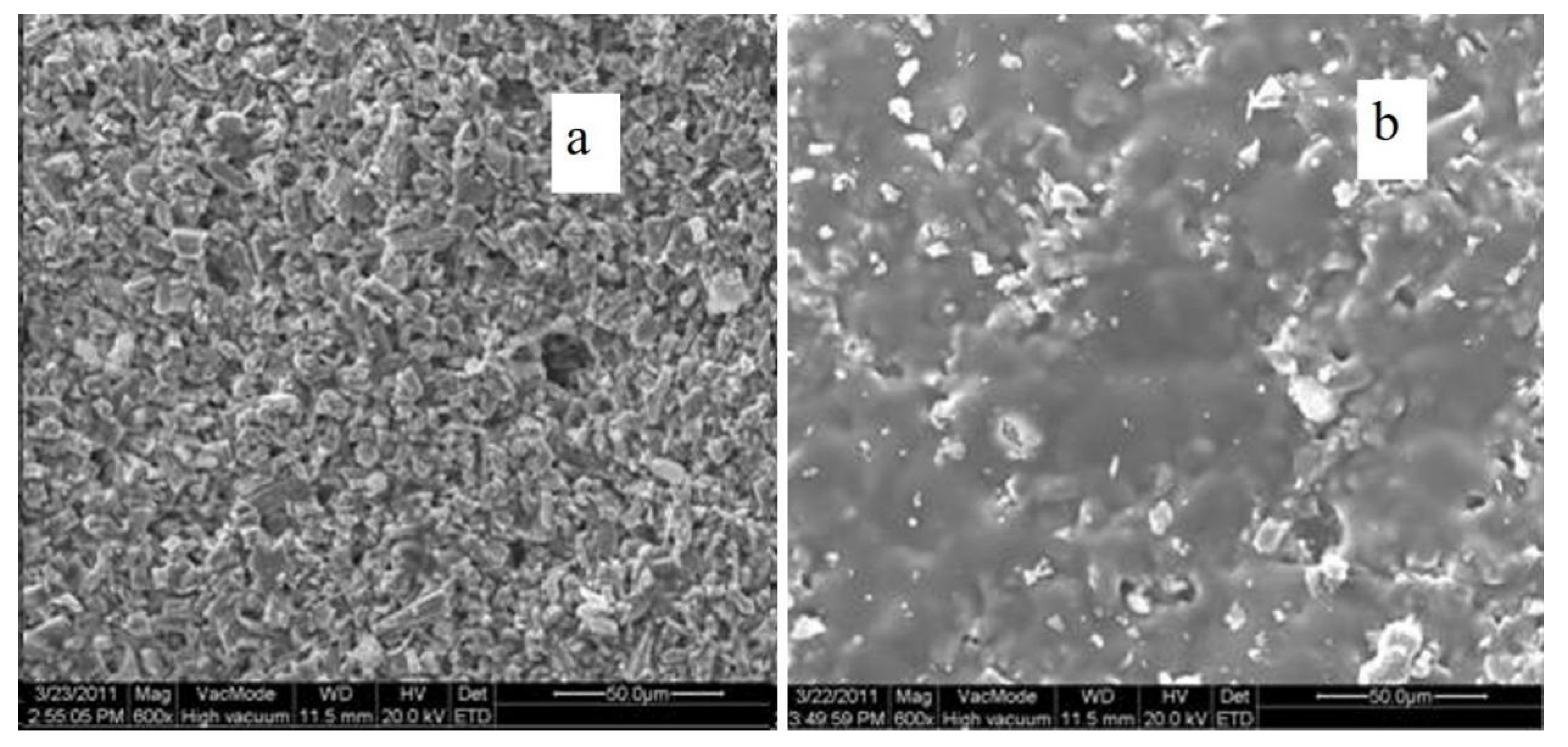Polymers 14 00760 g006