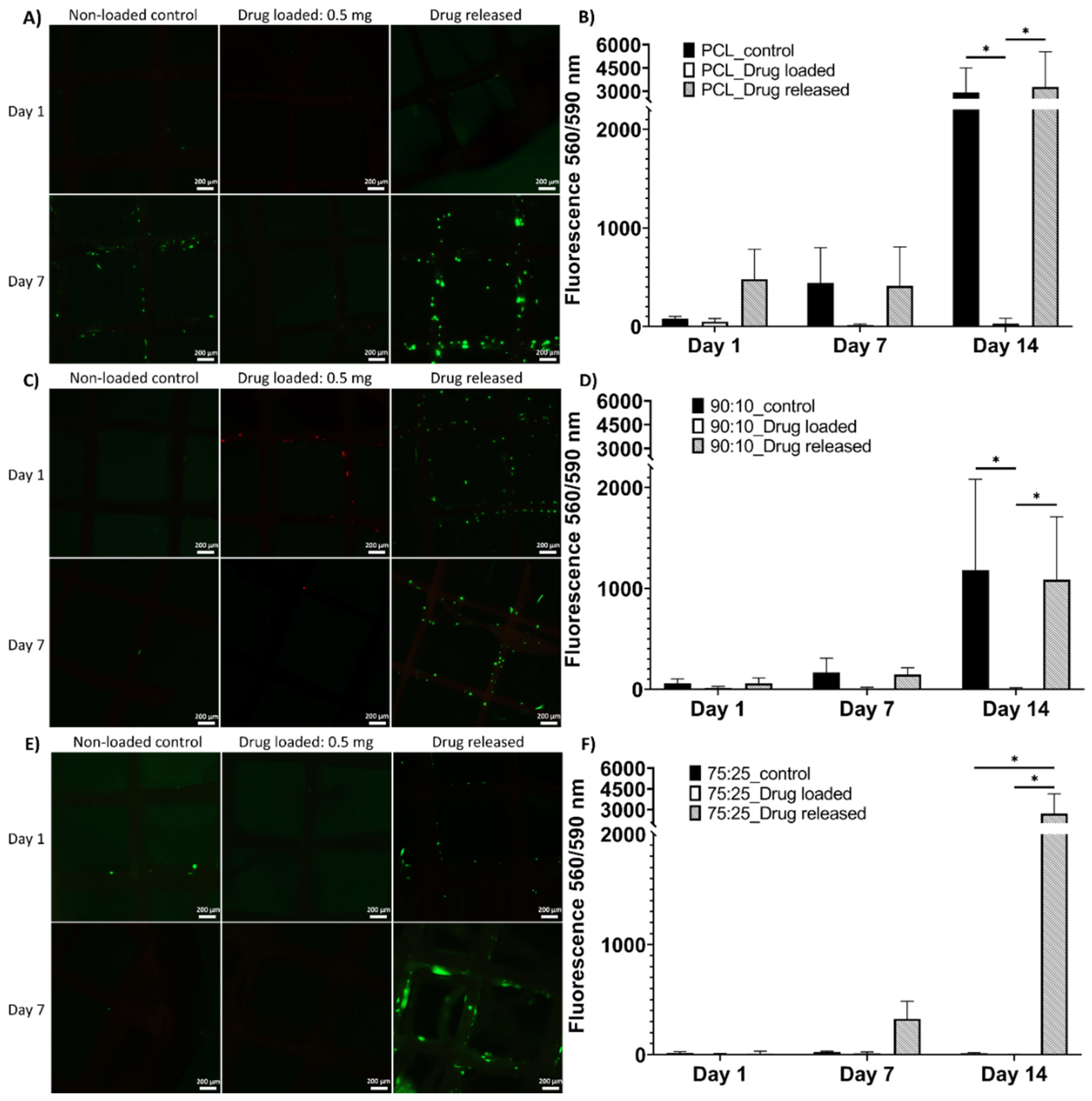 Polymers 14 00763 g006