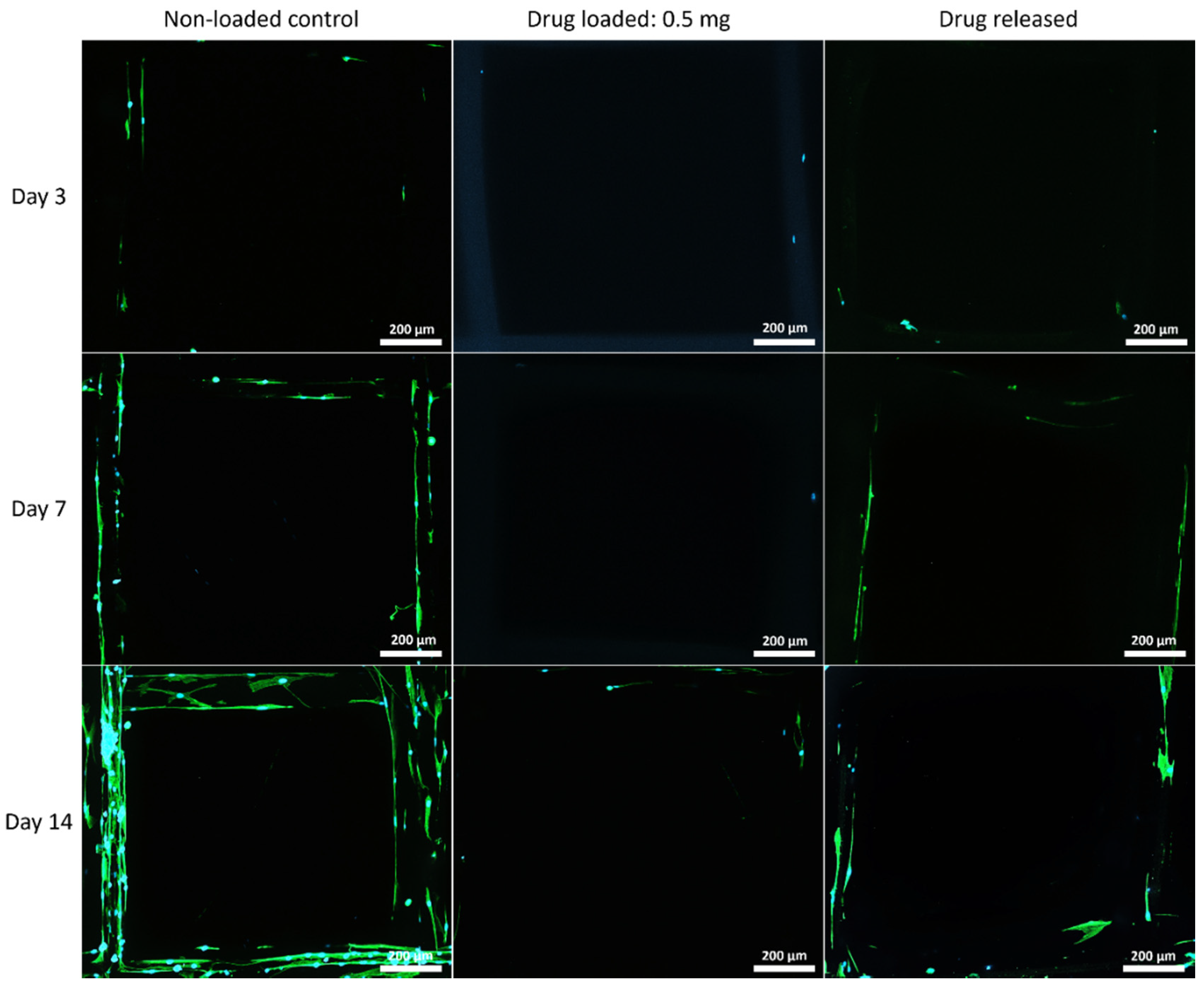 Polymers 14 00763 g007
