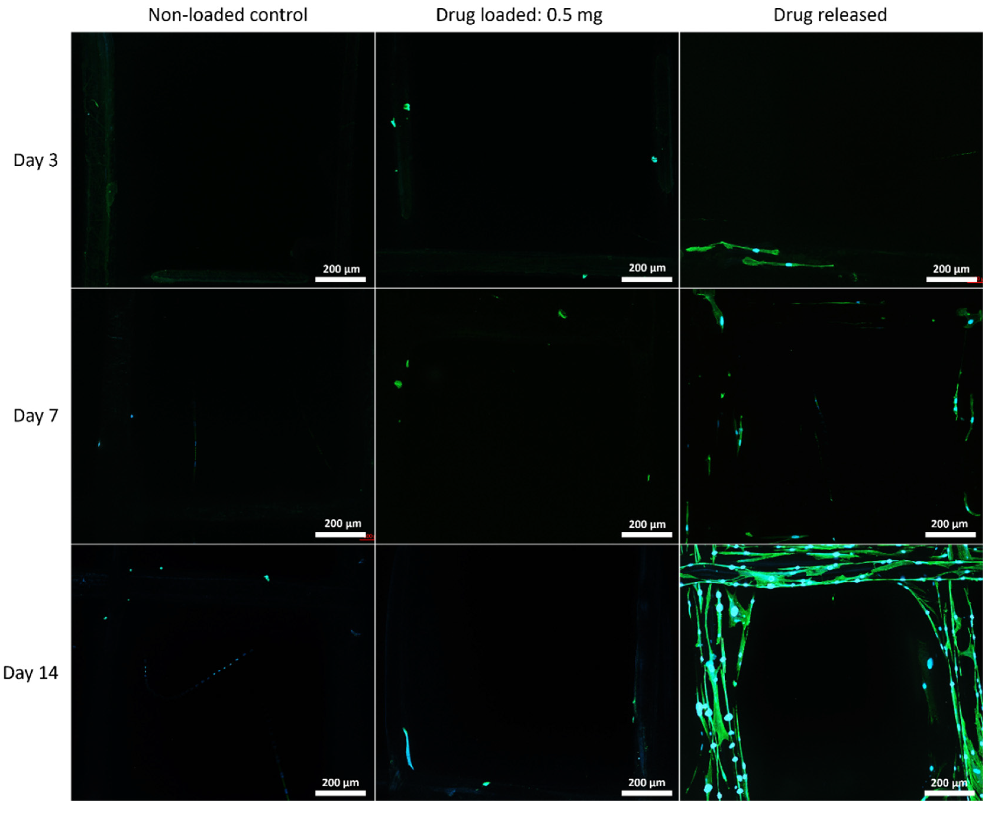 Polymers 14 00763 g009