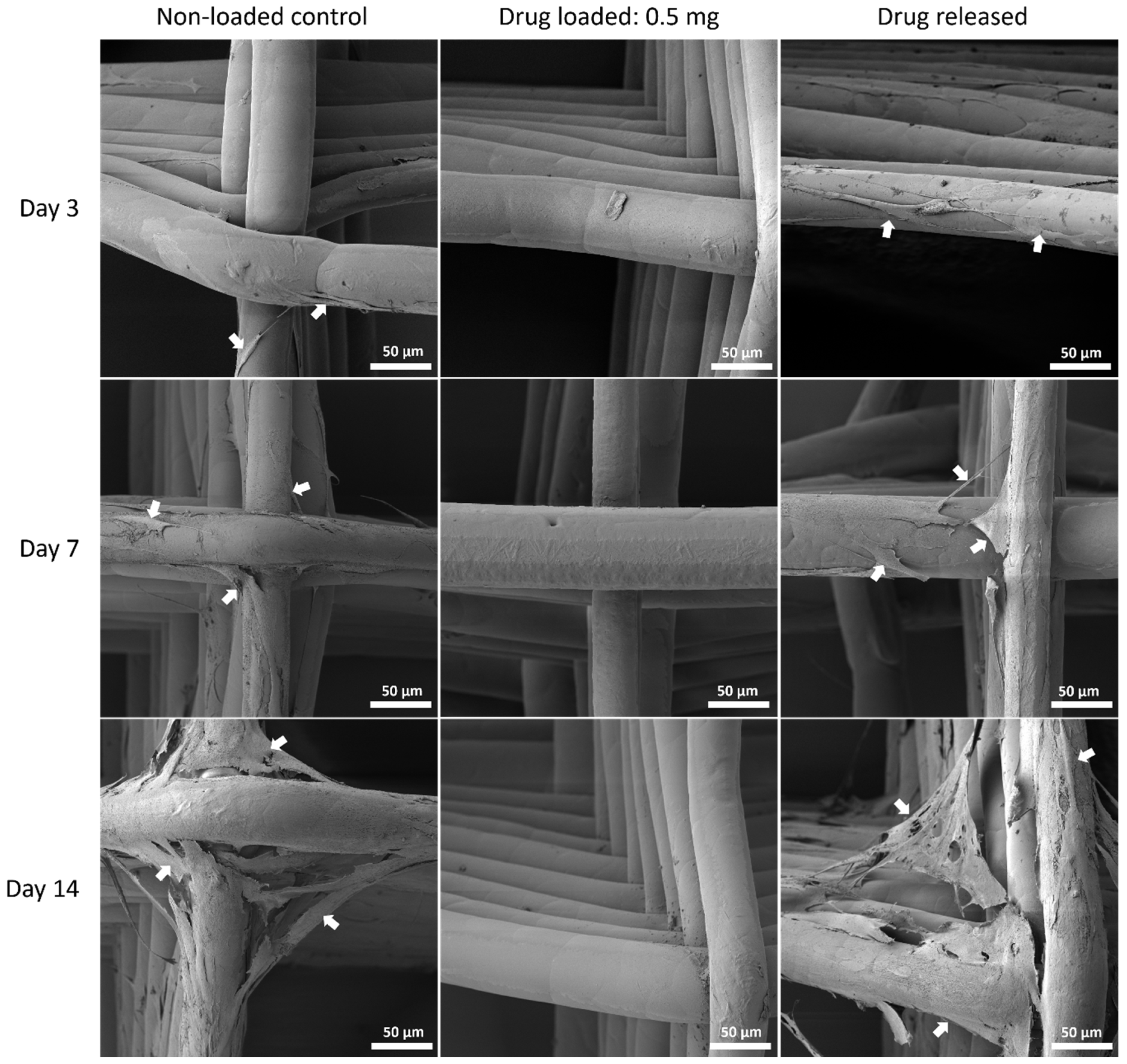 Polymers 14 00763 g010