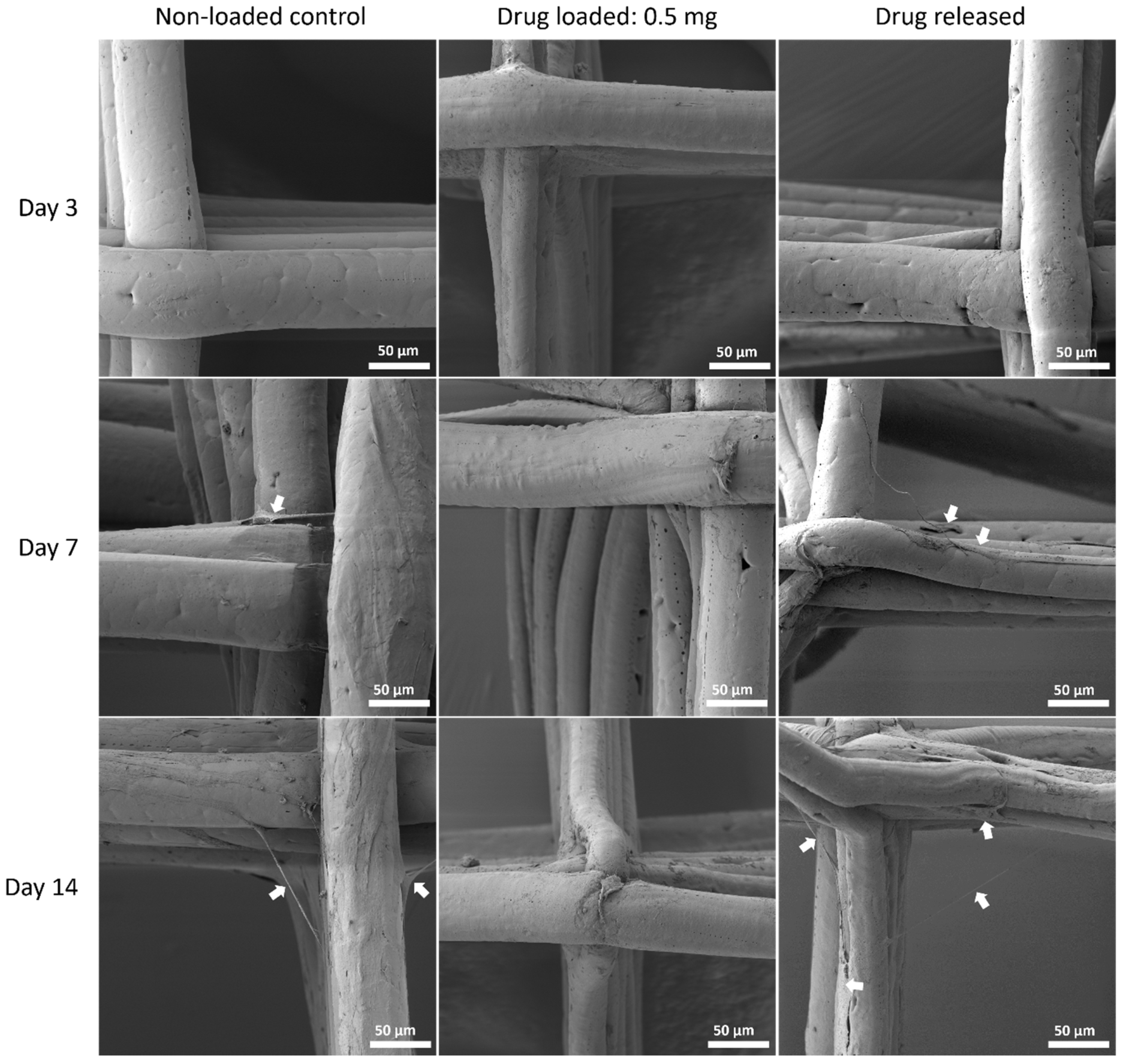Polymers 14 00763 g011