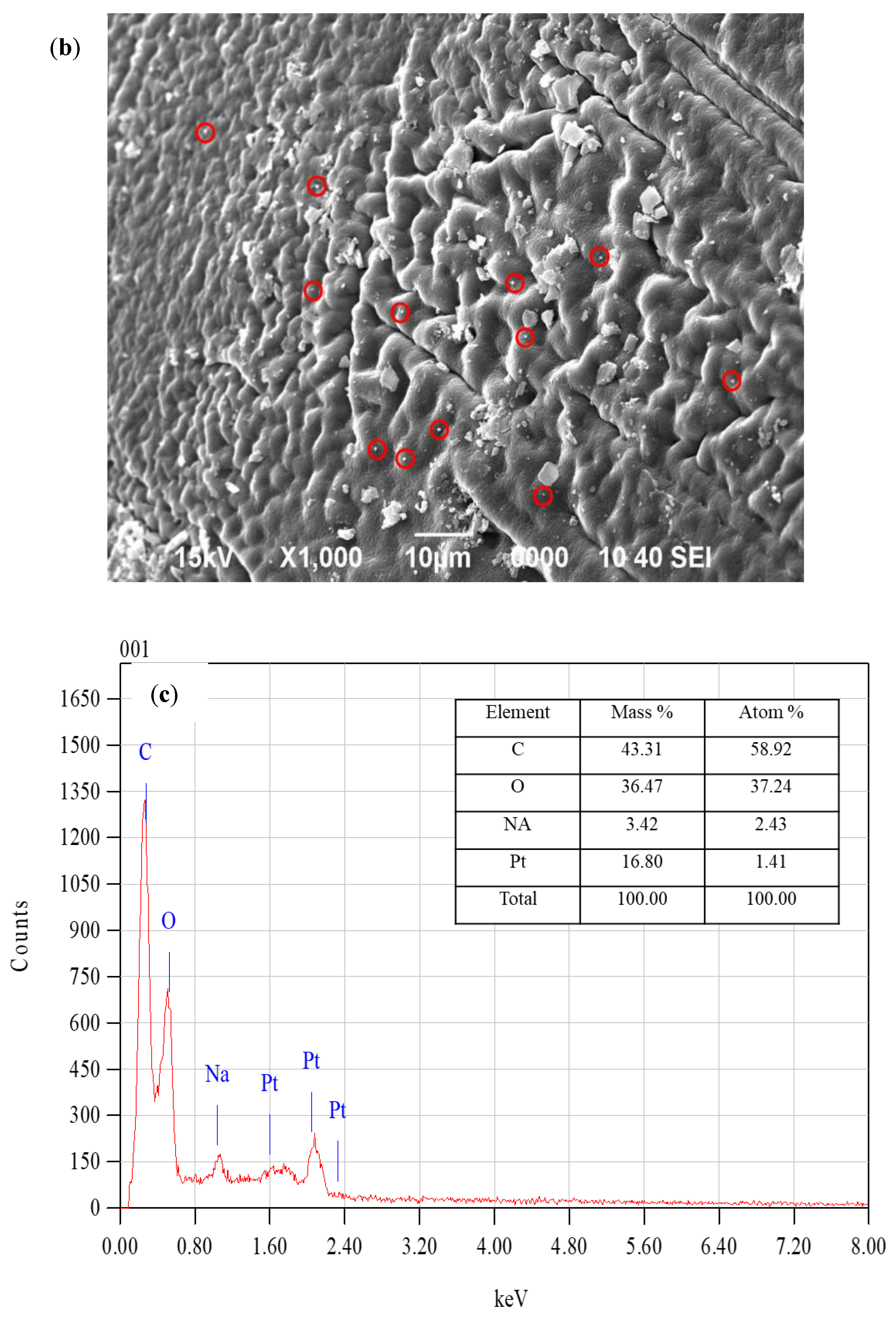 Polymers 14 00766 g004b