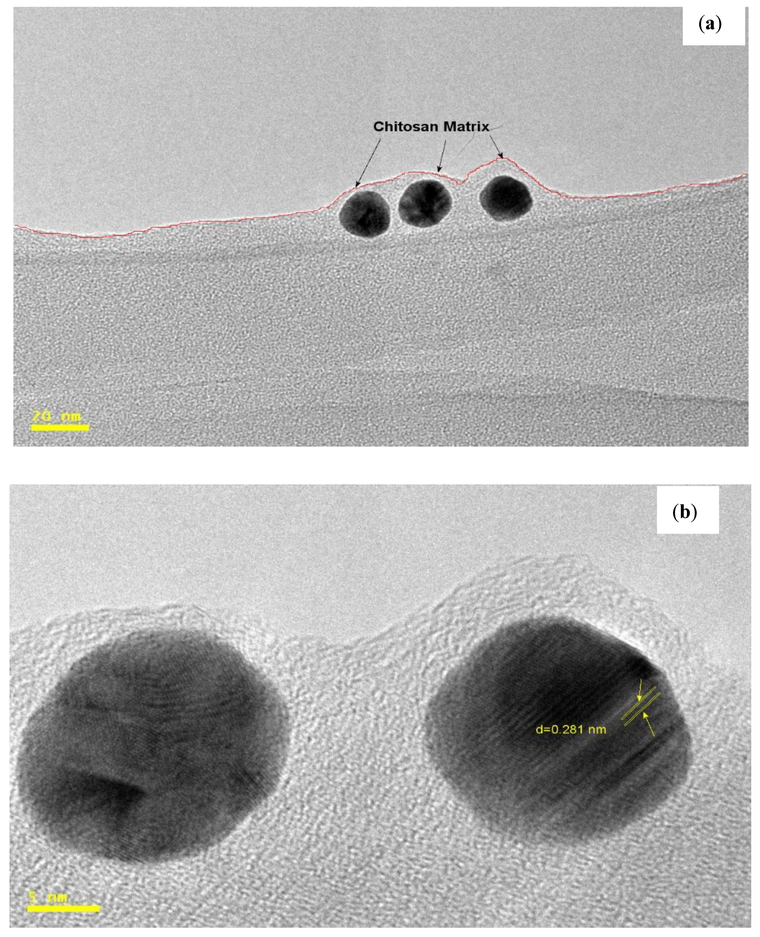 Polymers 14 00766 g006a