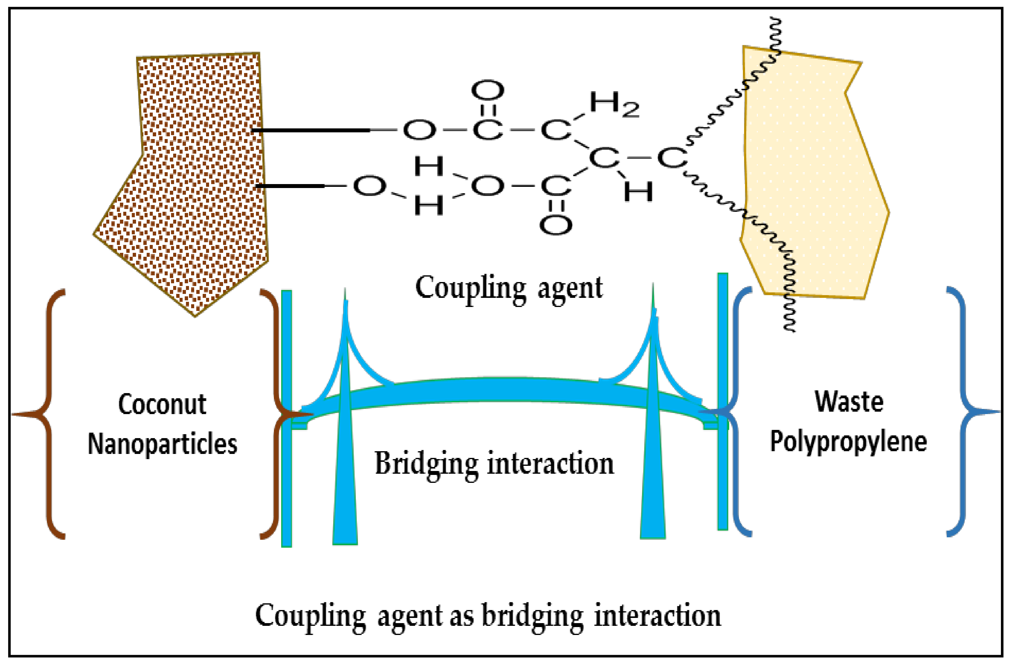 Polymers 14 00772 g001