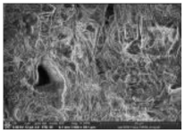 Polymers 14 00772 i001