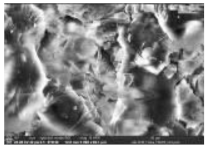 Polymers 14 00772 i003