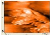 Polymers 14 00772 i010