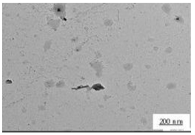 Polymers 14 00772 i015