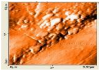 Polymers 14 00772 i022