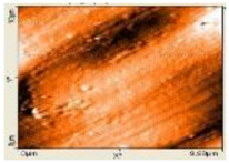 Polymers 14 00772 i026