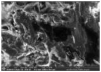 Polymers 14 00772 i027