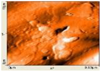 Polymers 14 00772 i028