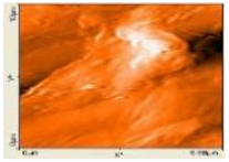 Polymers 14 00772 i030