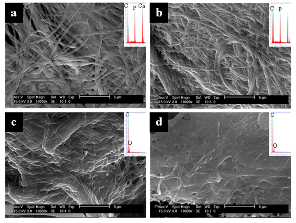 Polymers 14 00775 g003