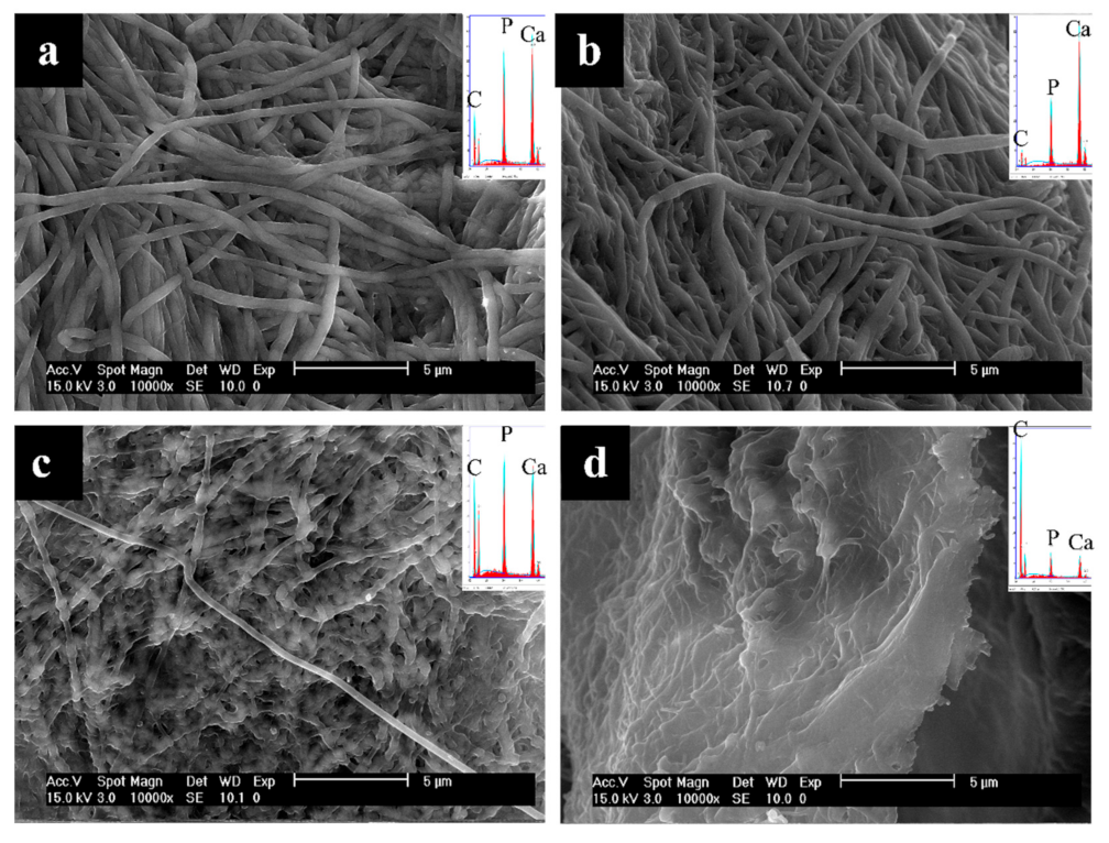 Polymers 14 00775 g004