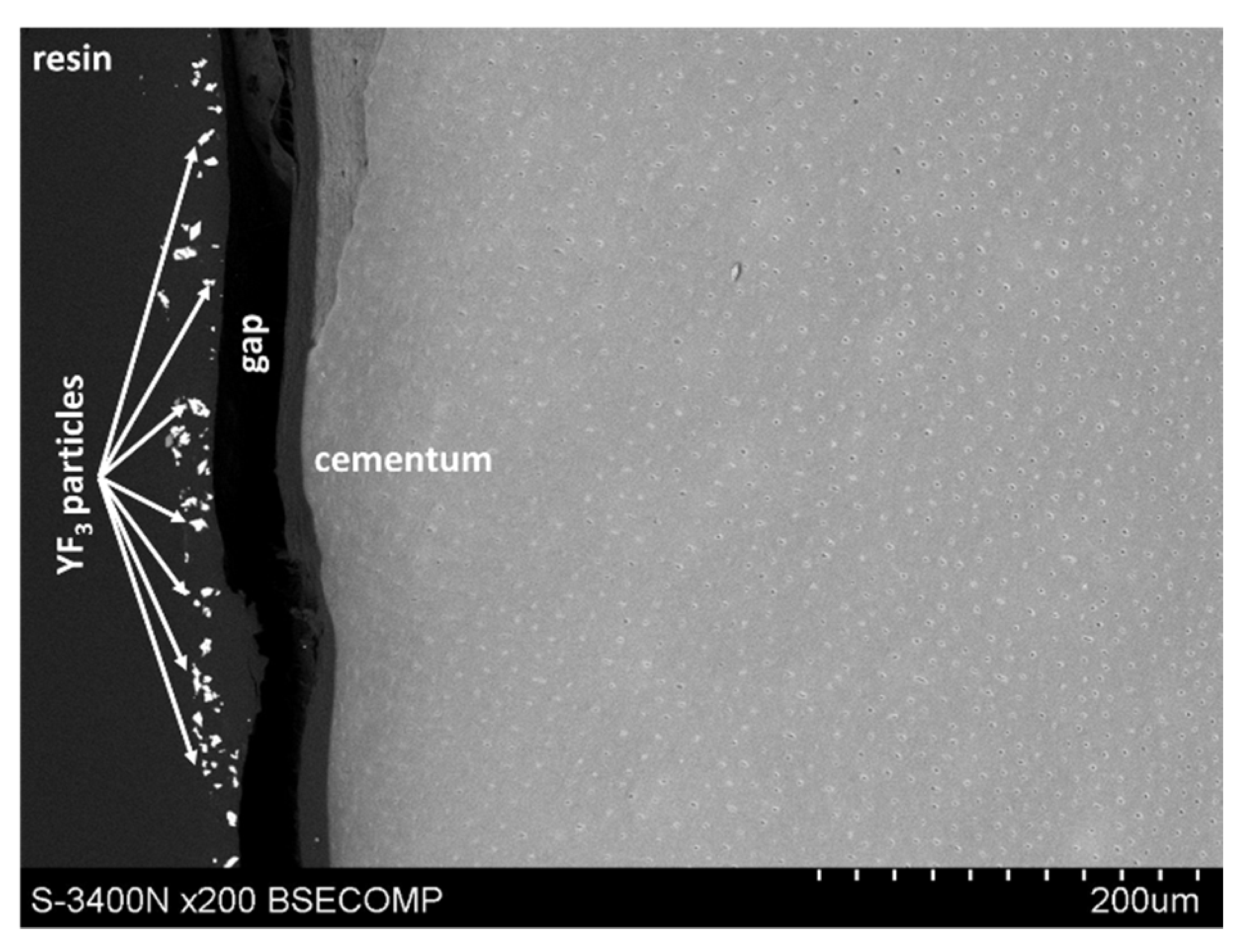 Polymers 14 00780 g005 Polymers 14 00780 g005