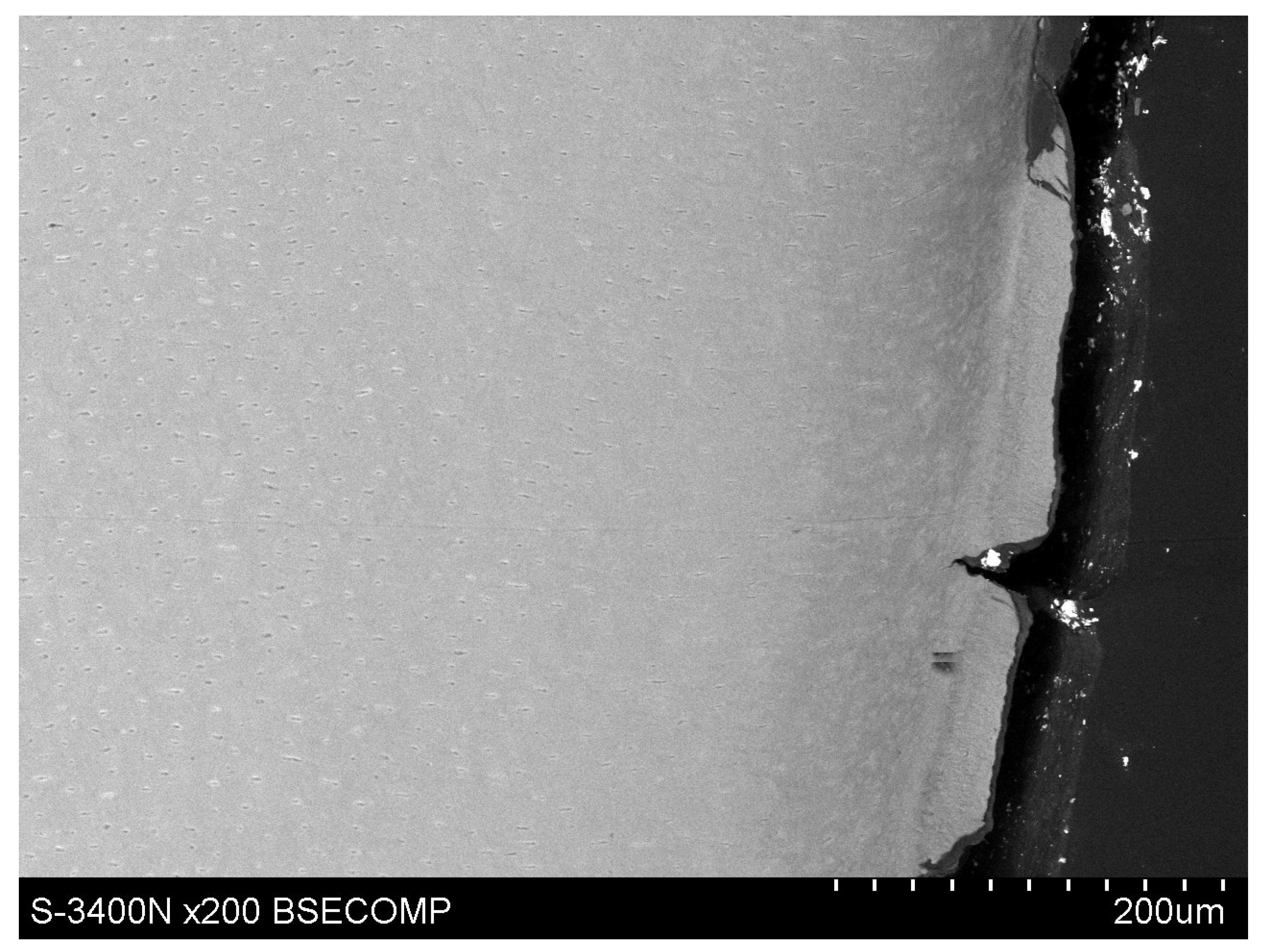 Polymers 14 00780 g008 Polymers 14 00780 g008