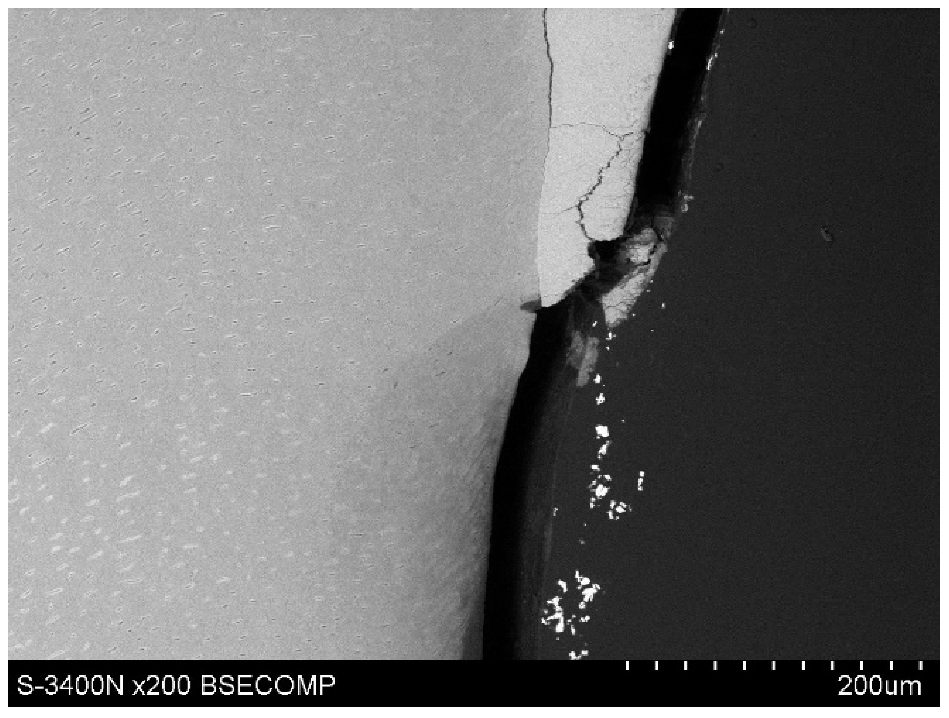 Polymers 14 00780 g009 Polymers 14 00780 g009