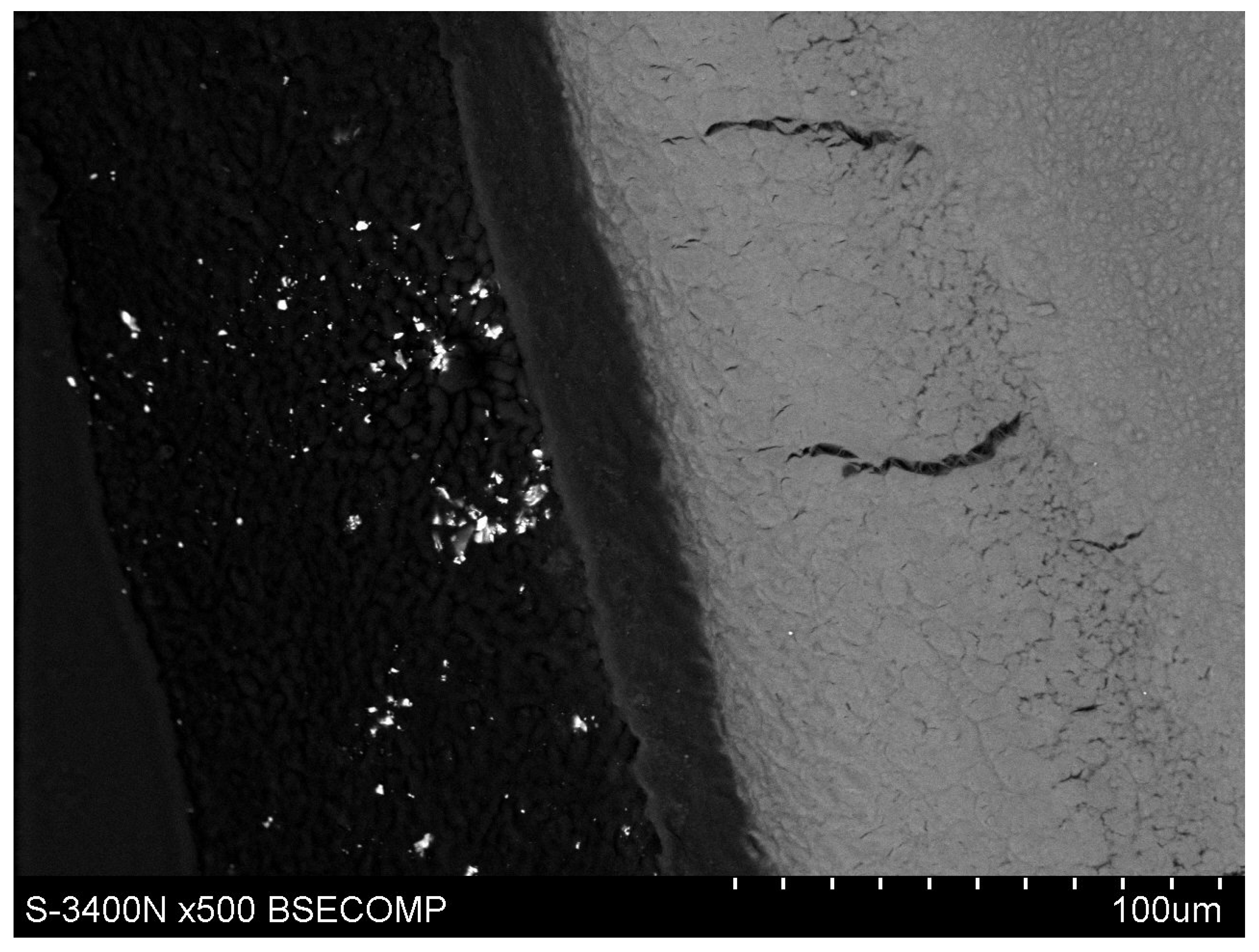Polymers 14 00780 g010 Polymers 14 00780 g010