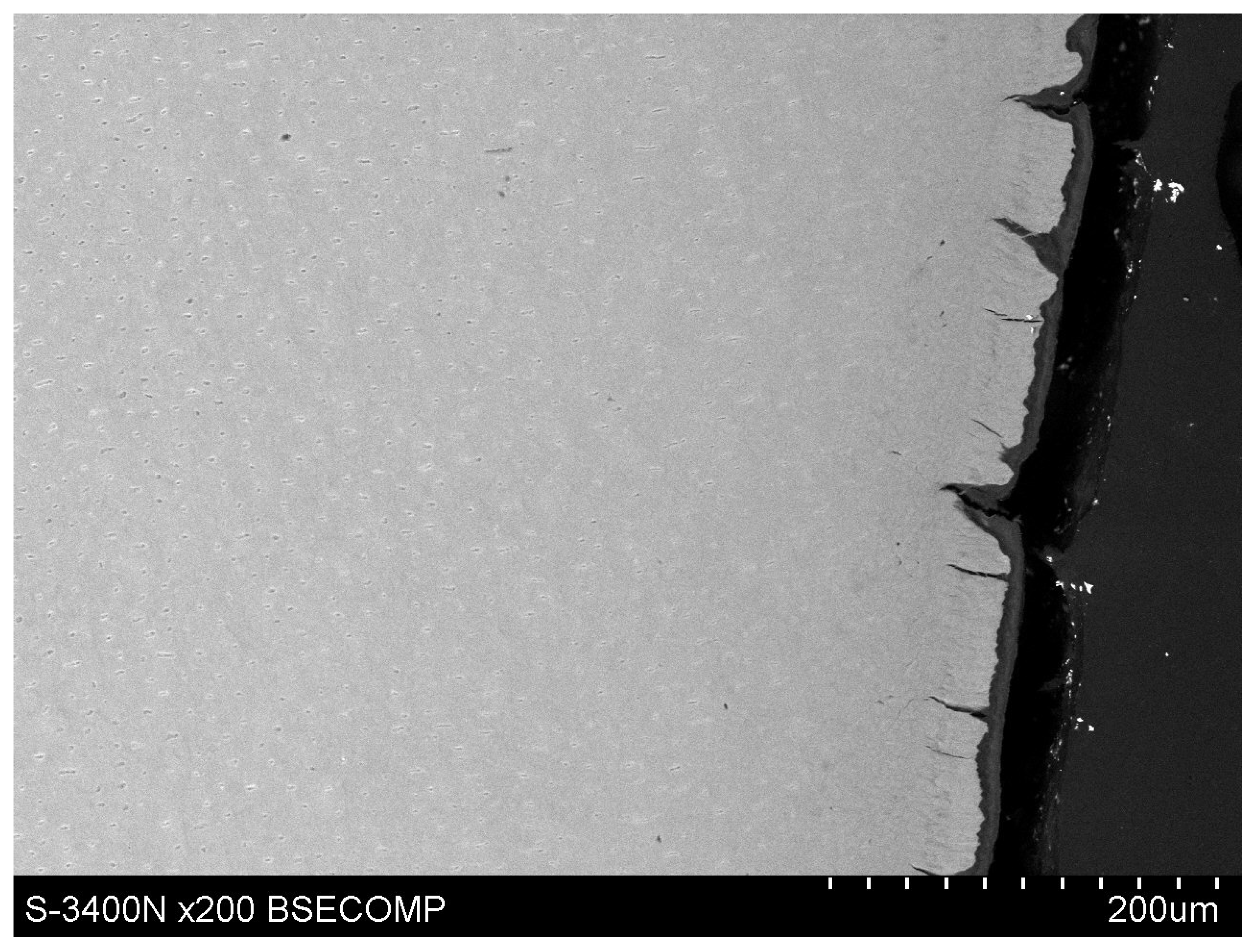 Polymers 14 00780 g011 Polymers 14 00780 g011