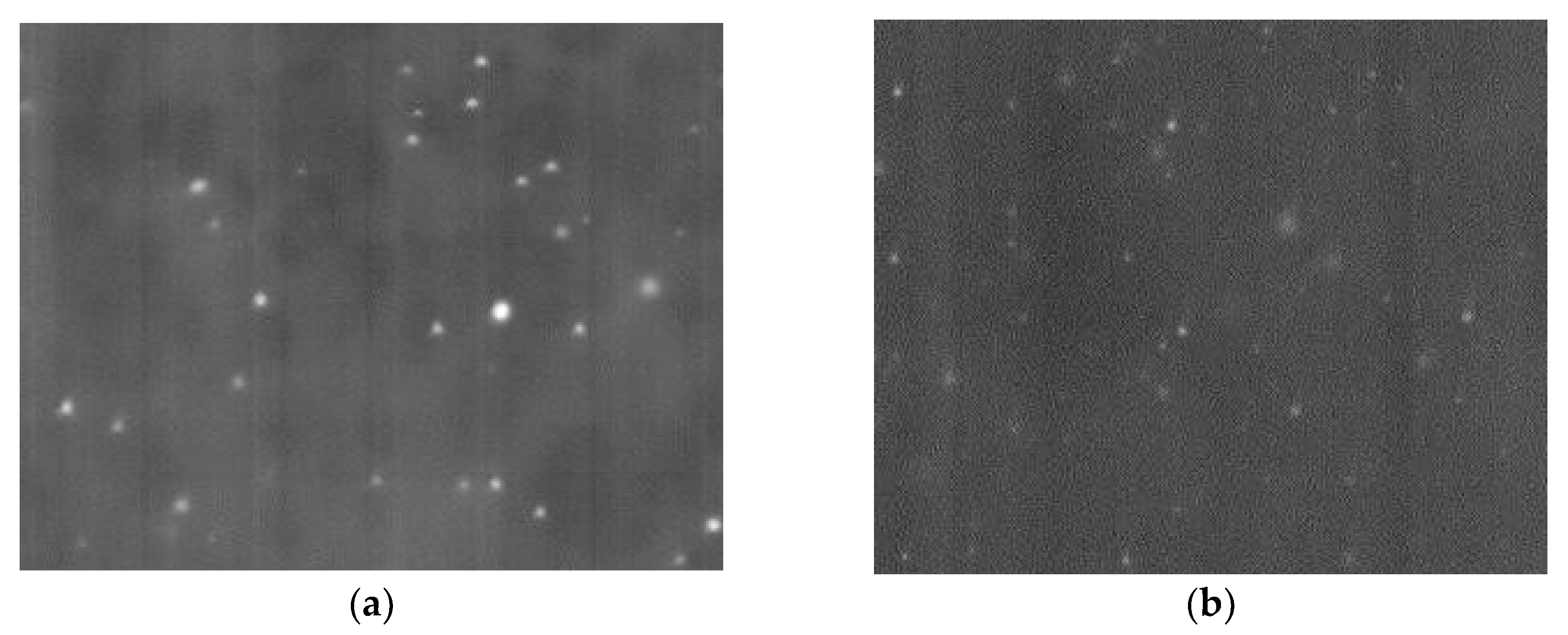 Polymers 14 00788 g002a