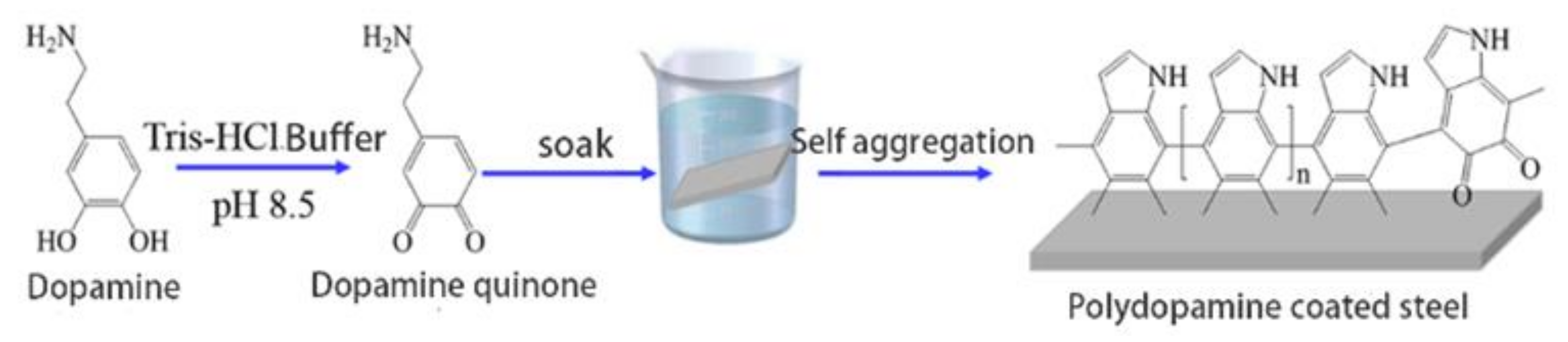 Polymers 14 00794 g001