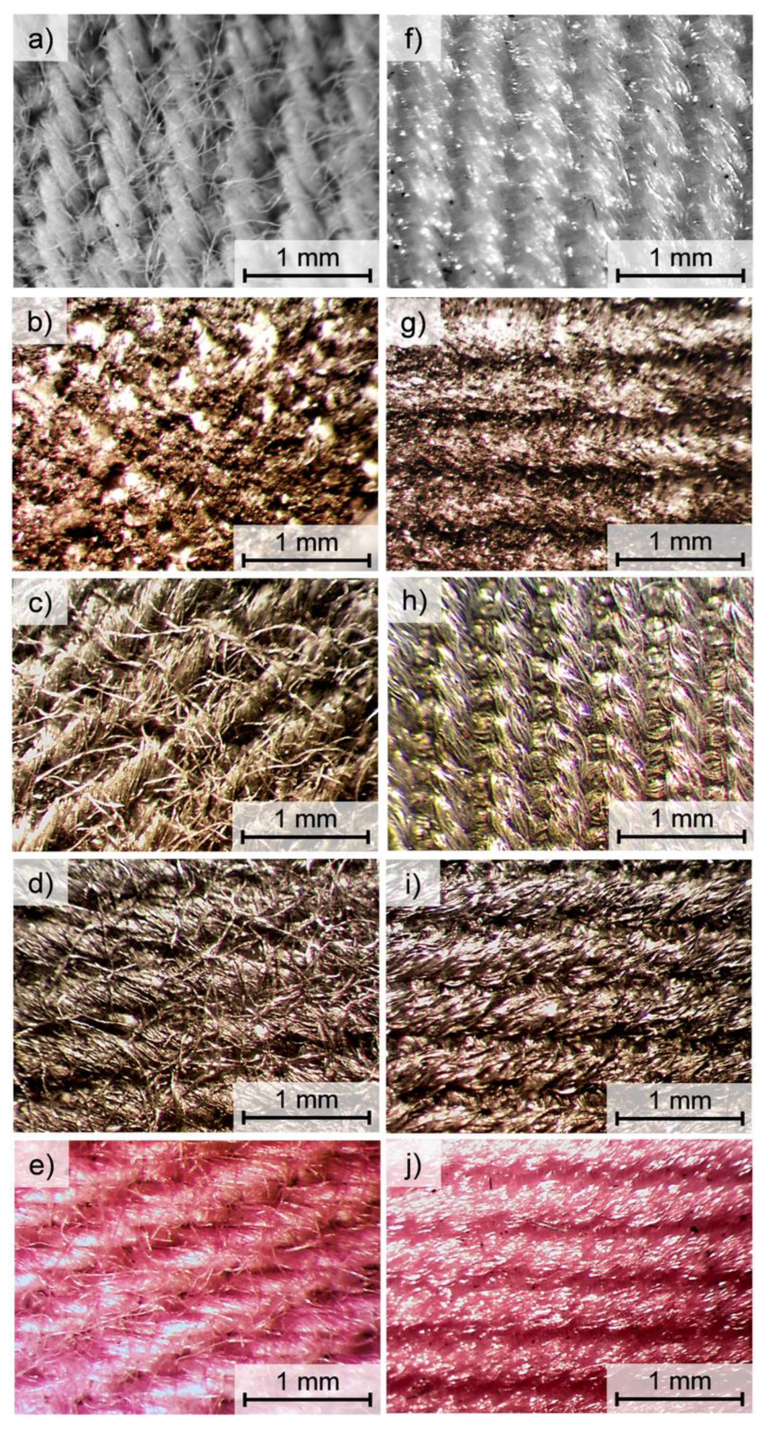 Polymers 14 00796 g008