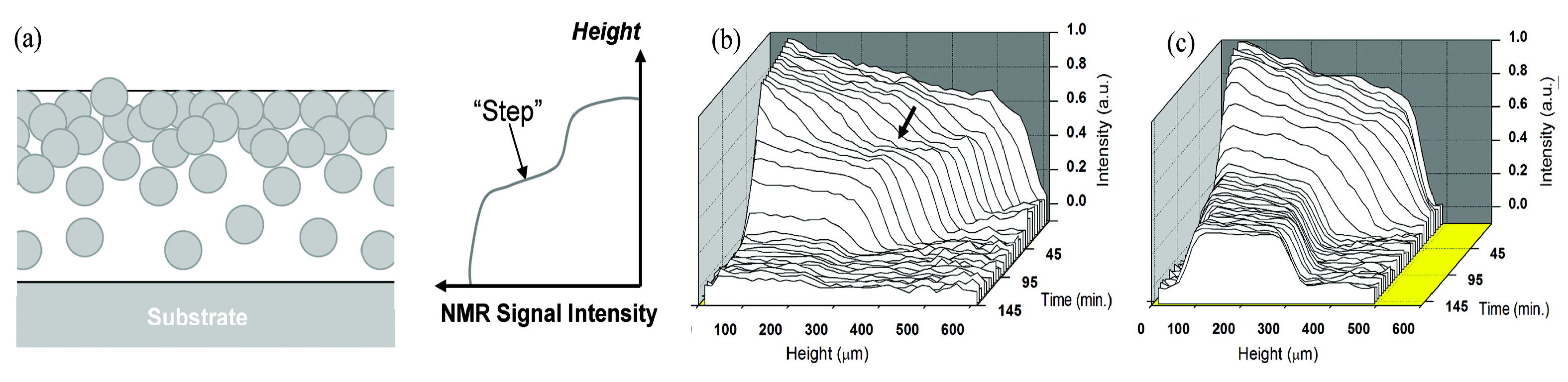 Polymers 14 00798 g011