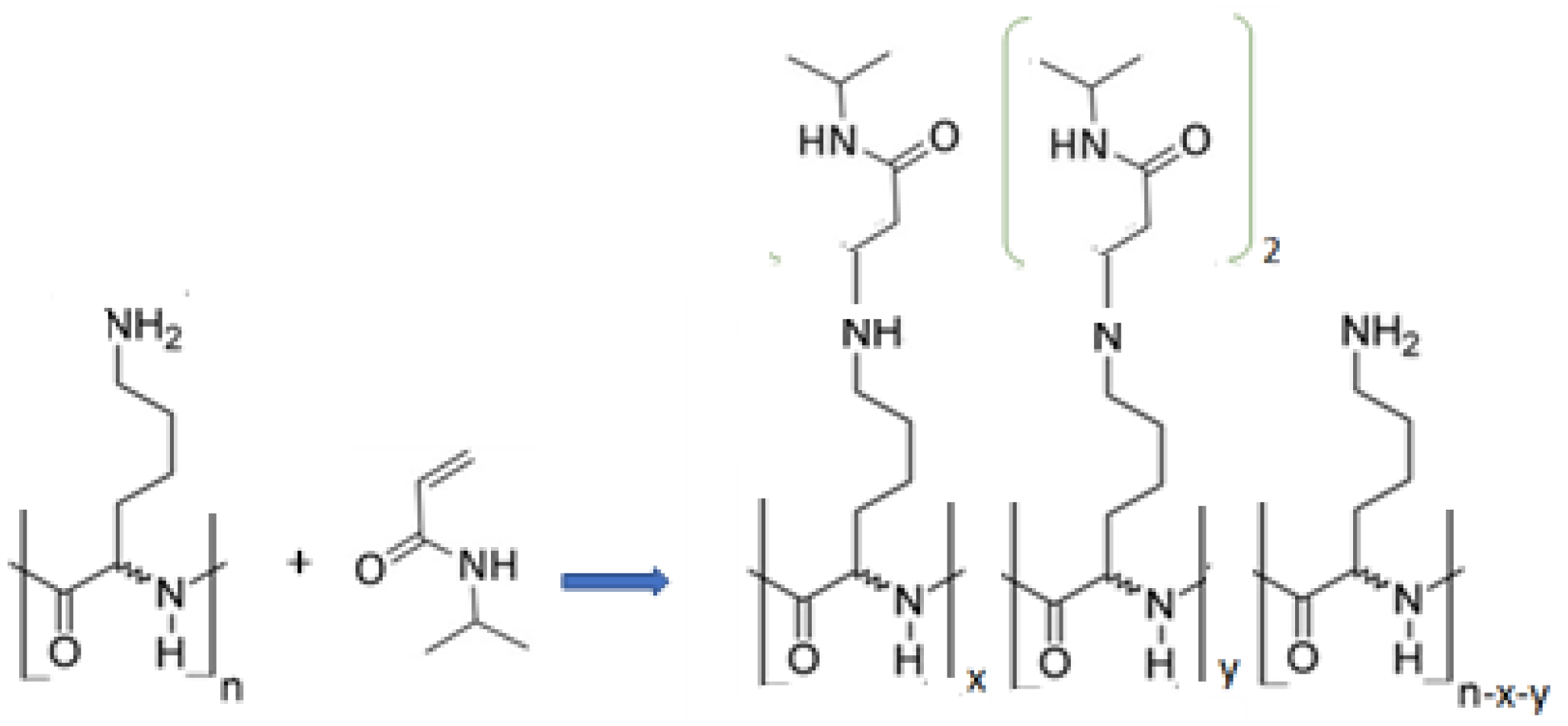 Polymers 14 00802 sch001