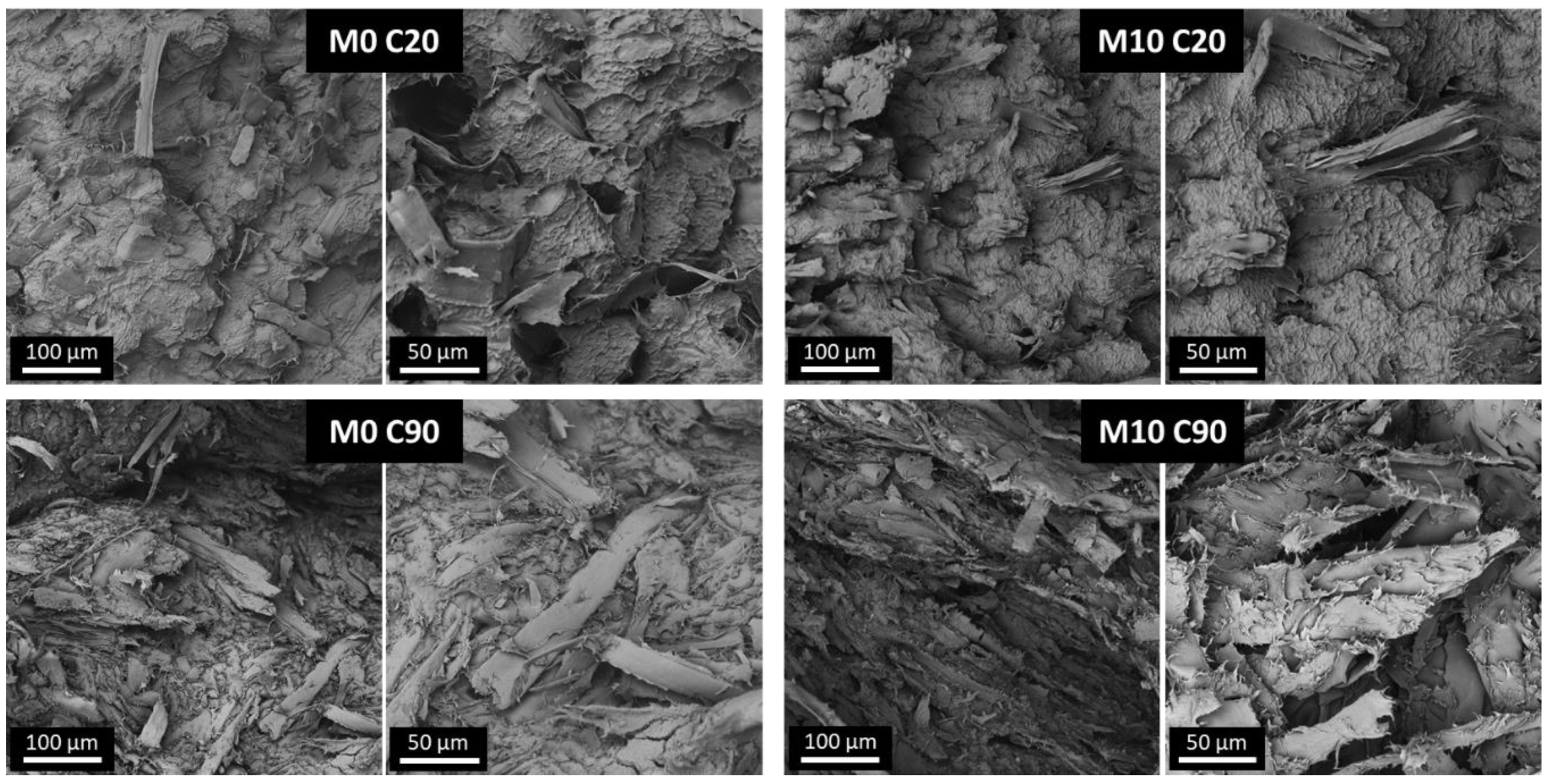 Polymers 14 00807 g002