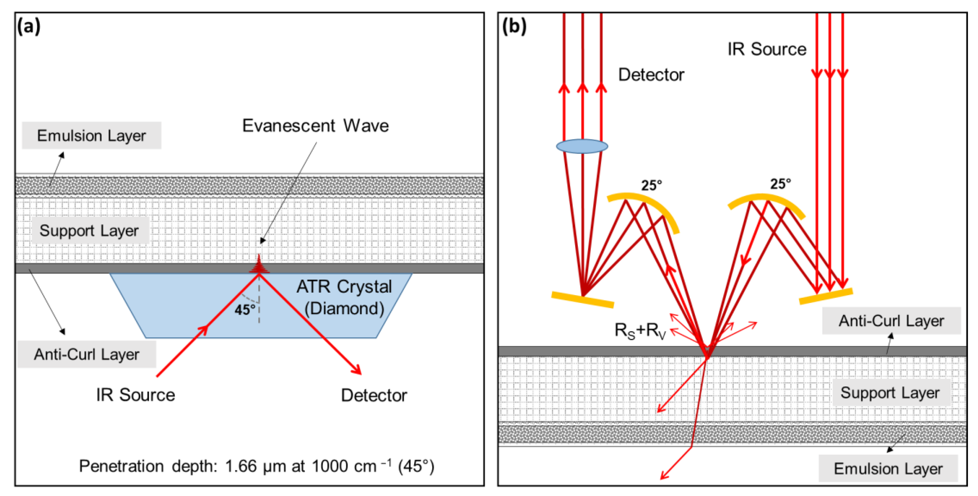 Polymers 14 00808 g001