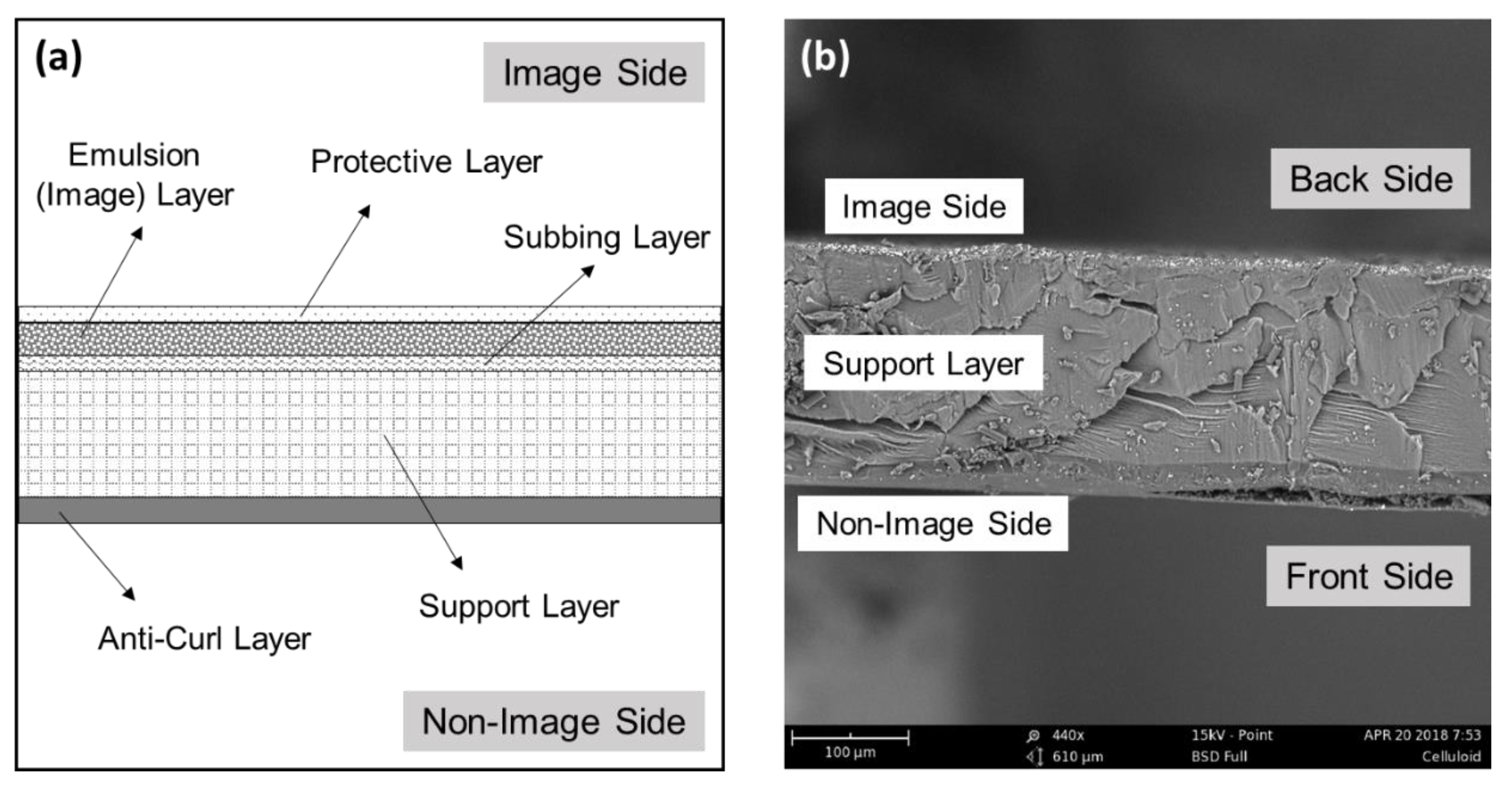 Polymers 14 00808 g003