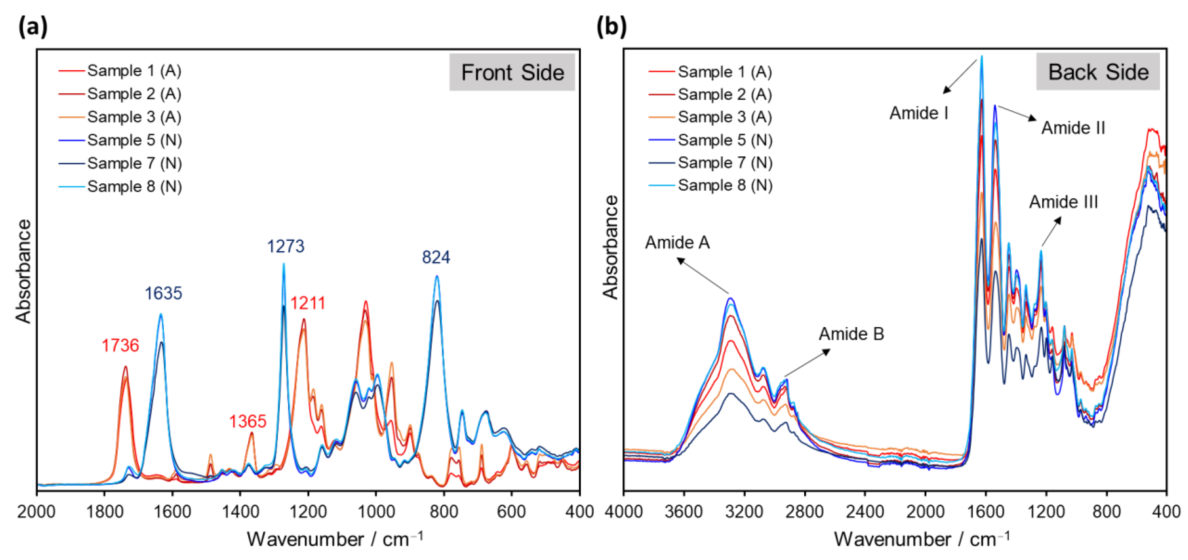 Polymers 14 00808 g004