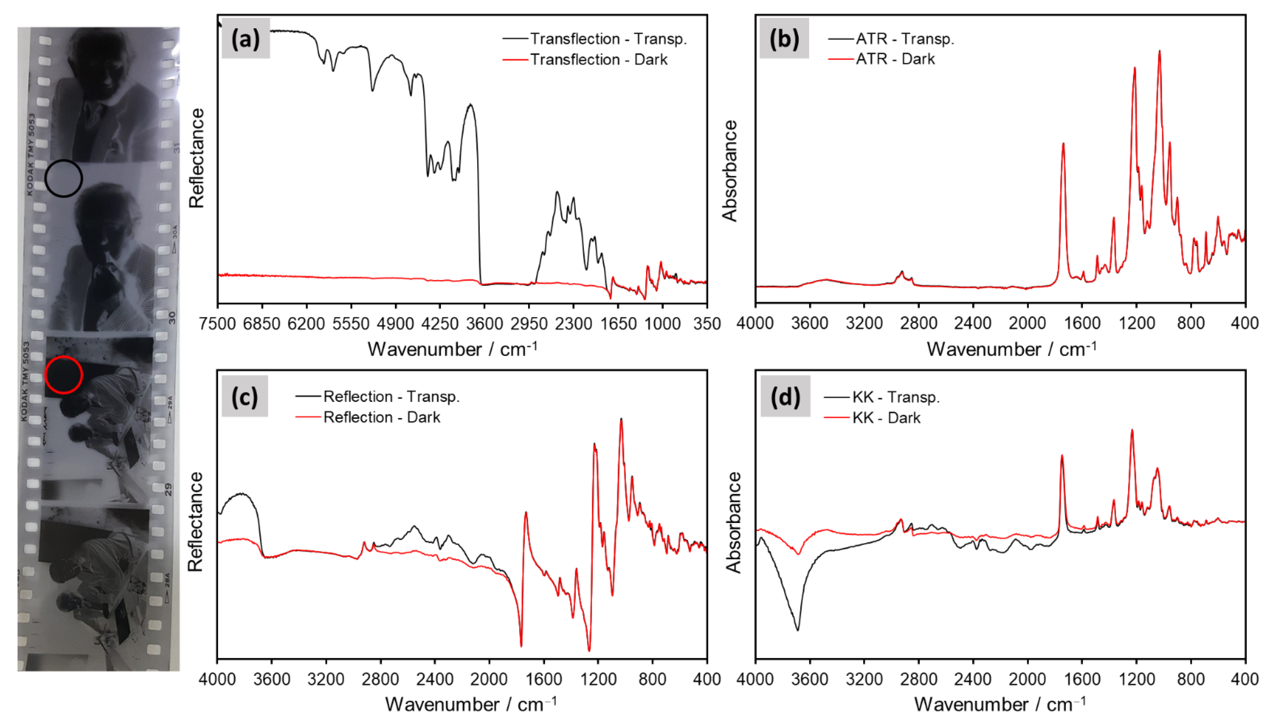Polymers 14 00808 g012
