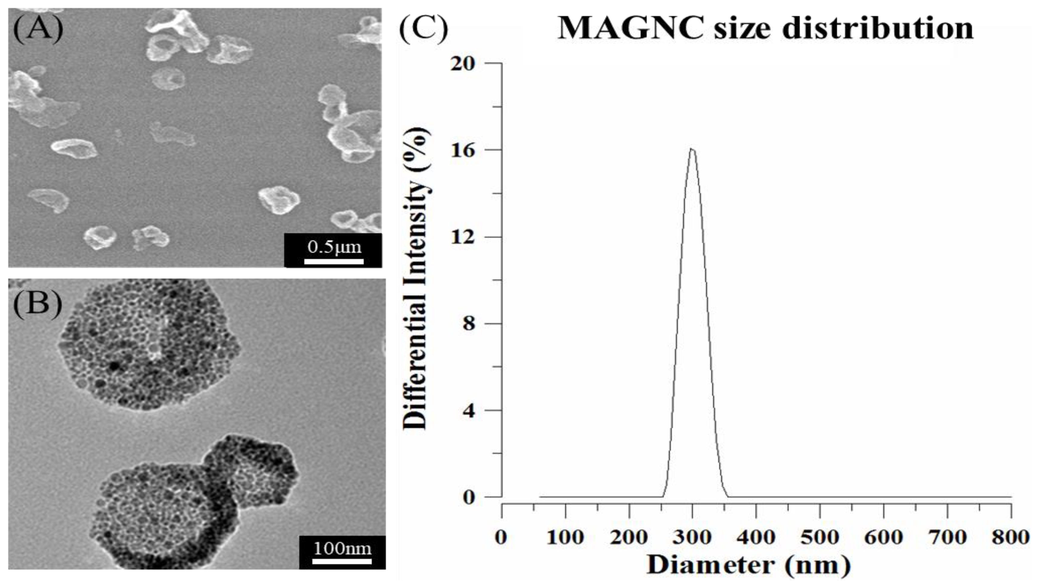 Polymers 14 00809 g001