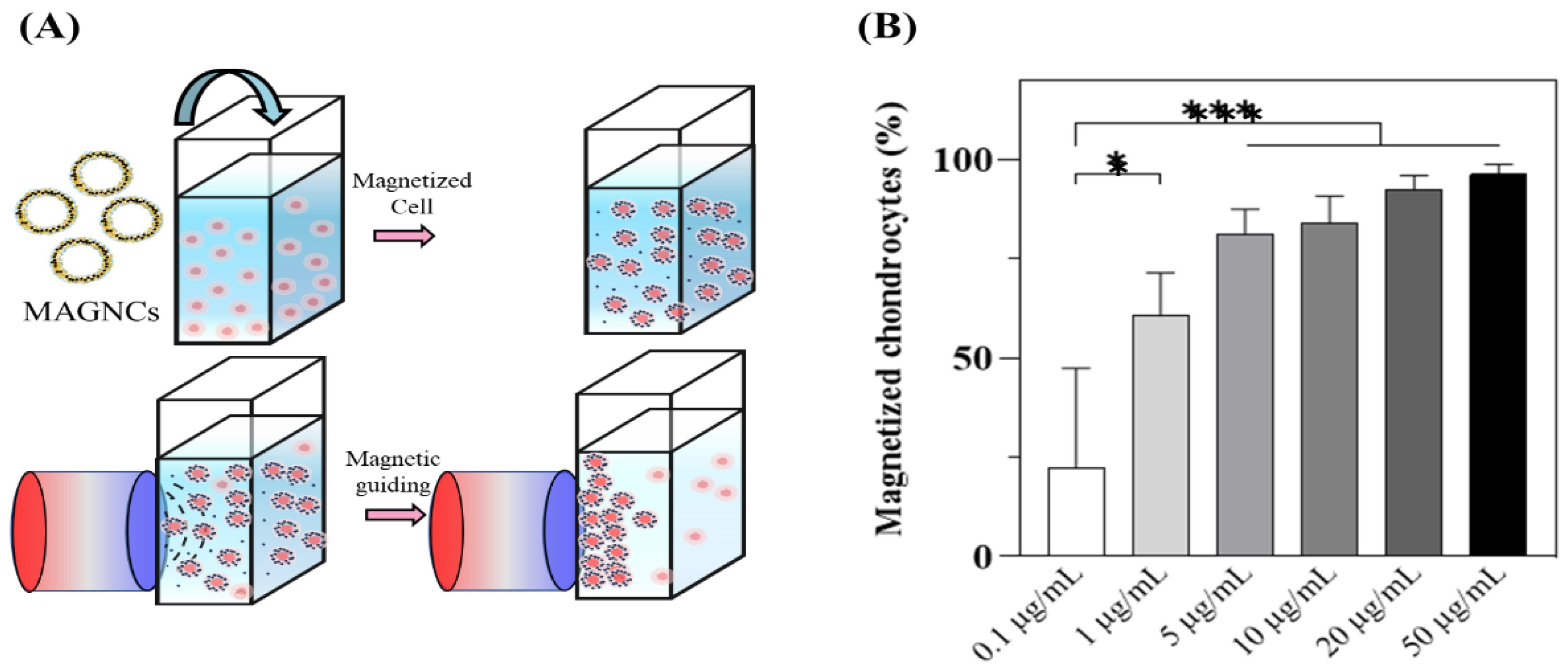 Polymers 14 00809 g002