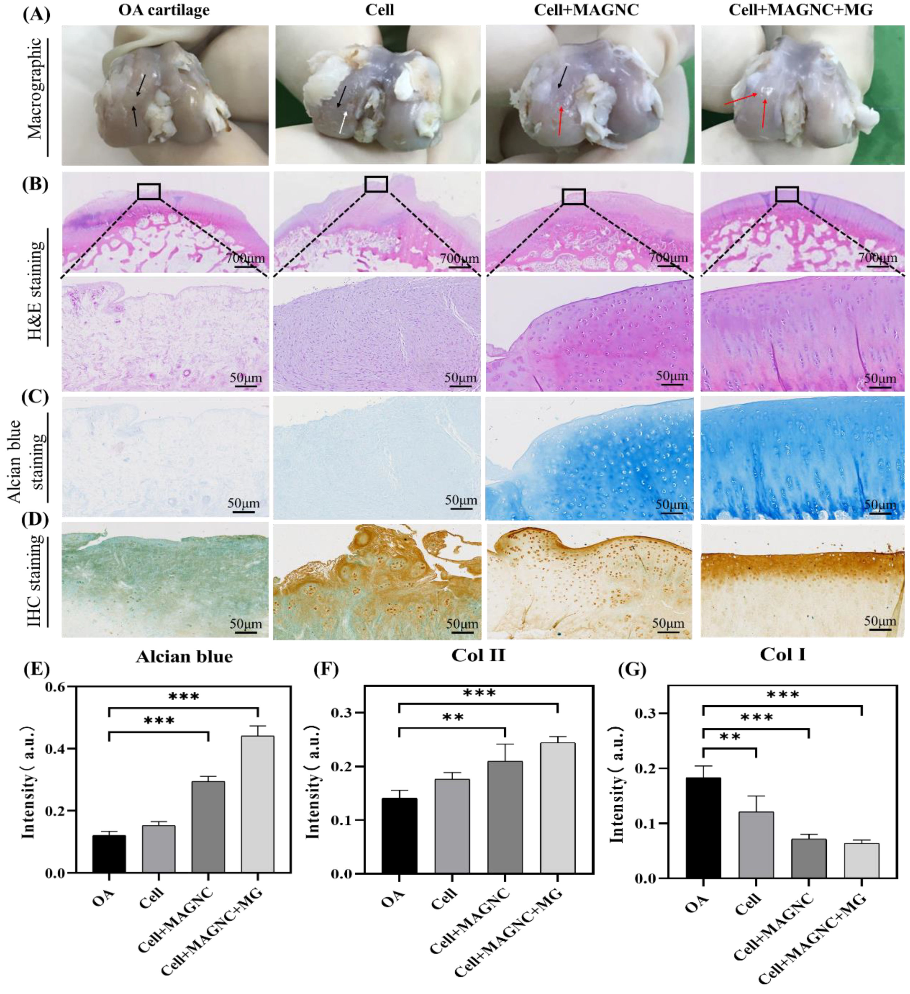 Polymers 14 00809 g007