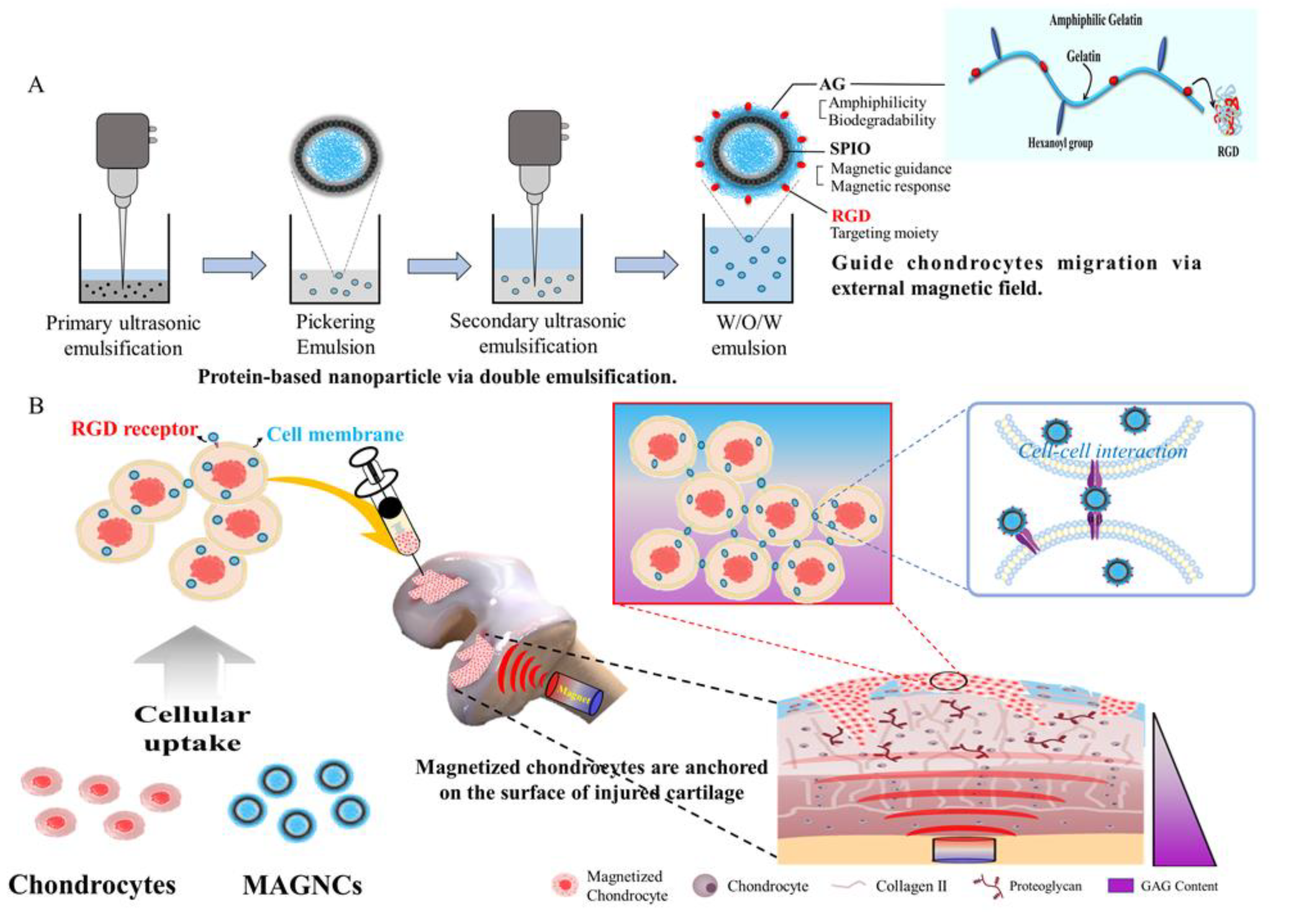 Polymers 14 00809 sch001