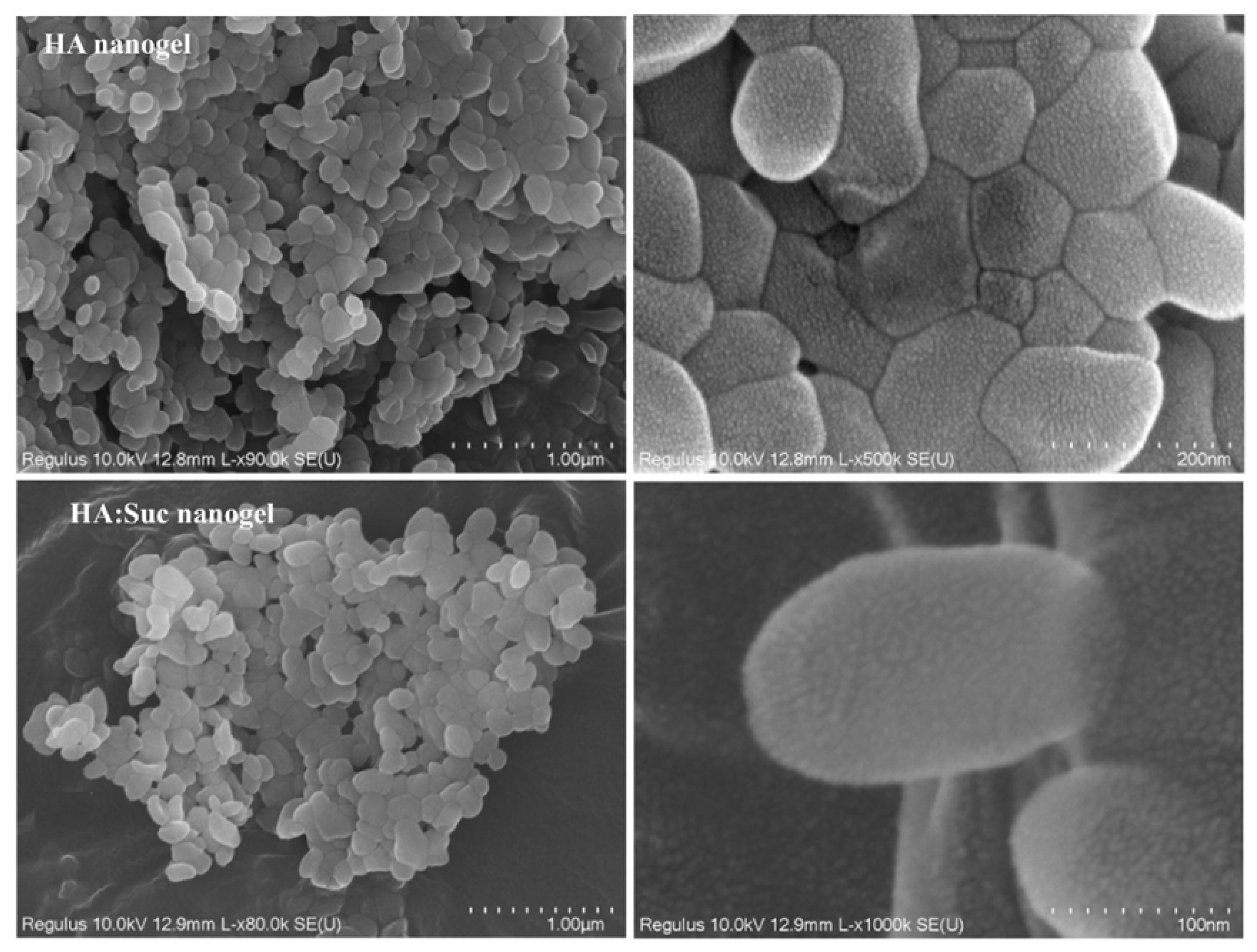 Polymers 14 00813 g013 Polymers 14 00813 g013