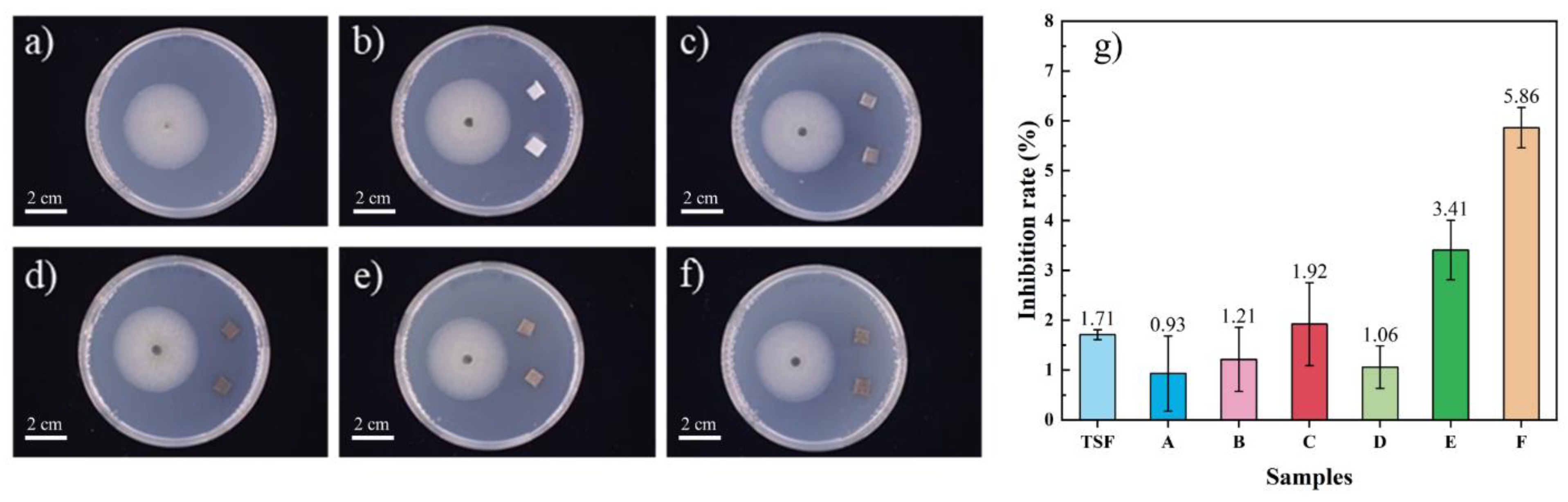 Polymers 14 00815 g008