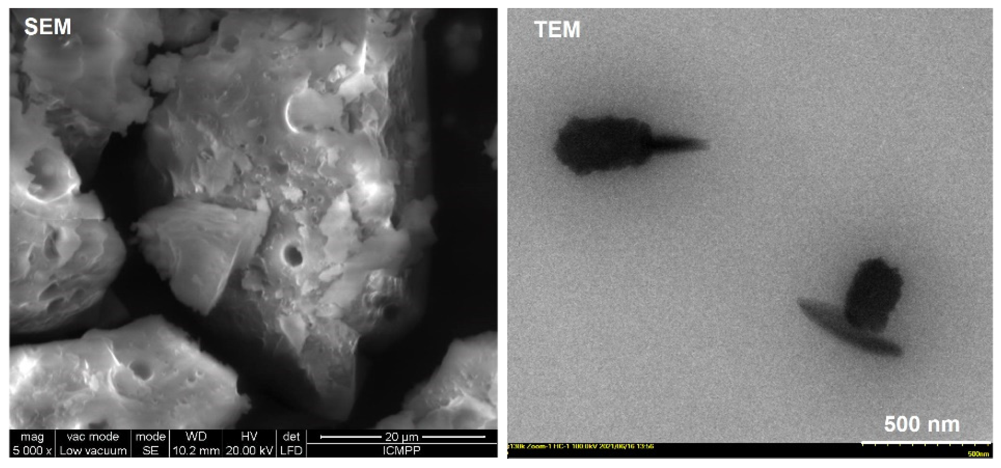 Polymers 14 00817 g008