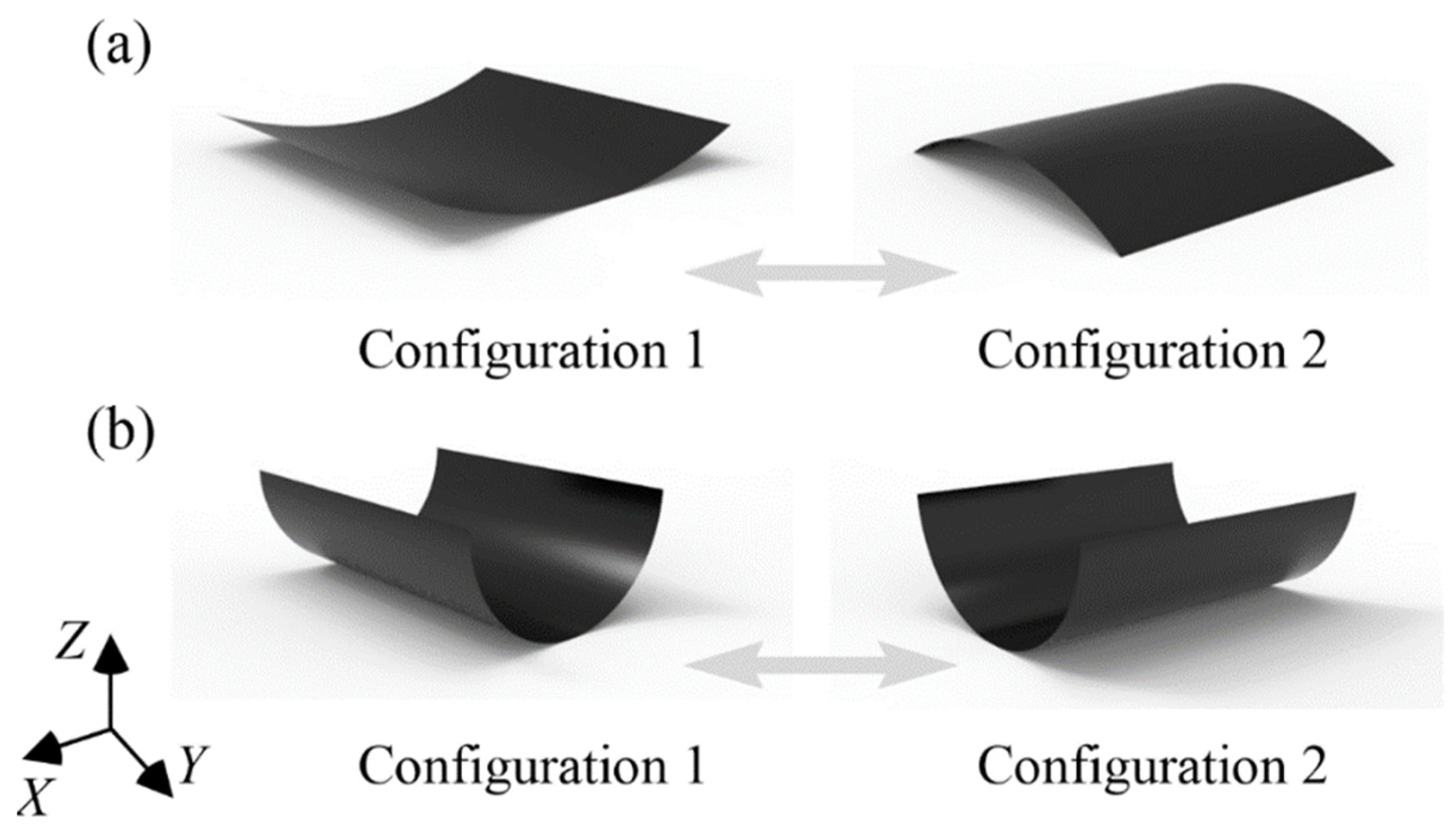 Polymers 14 00818 g001