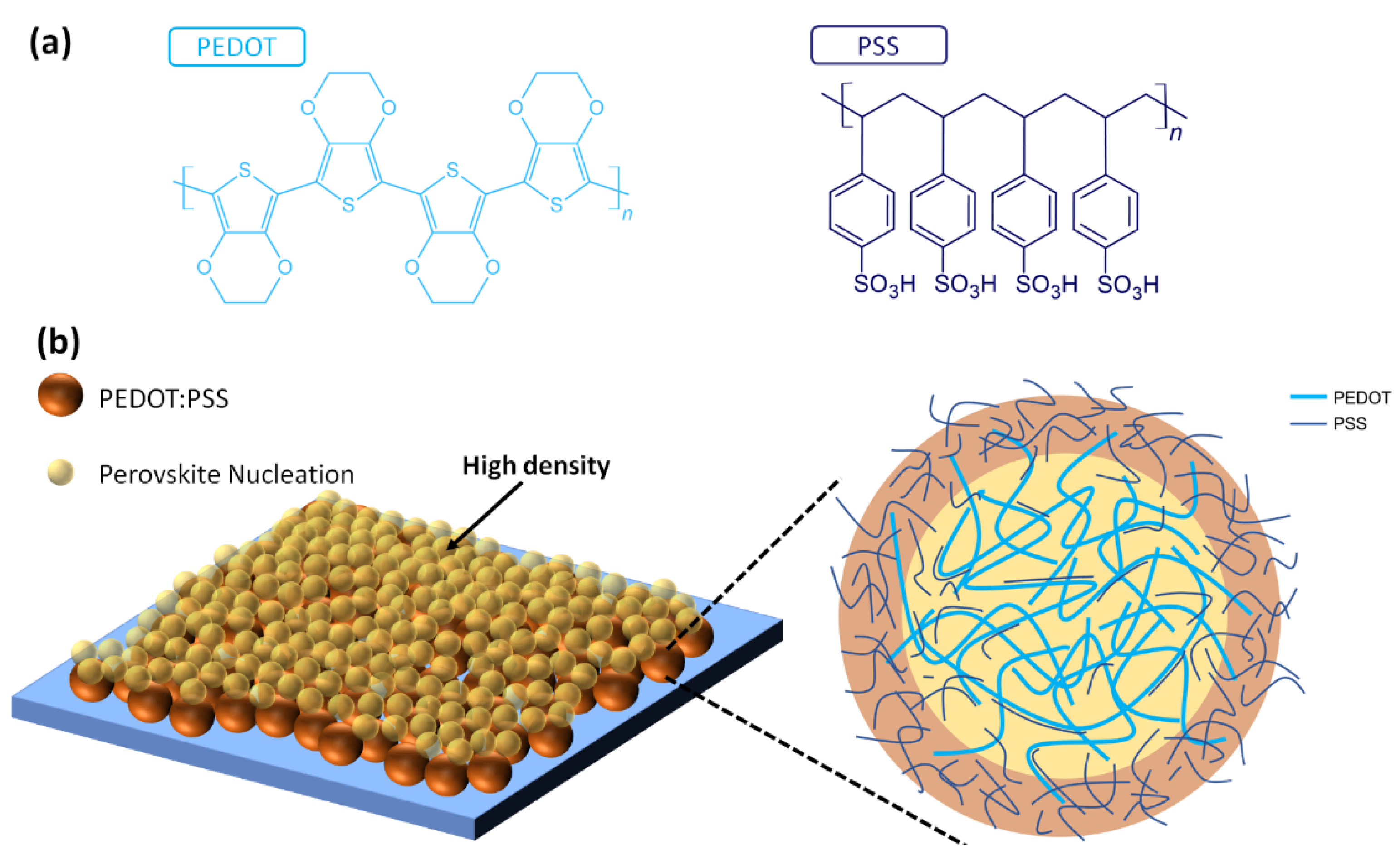 Polymers 14 00823 g004