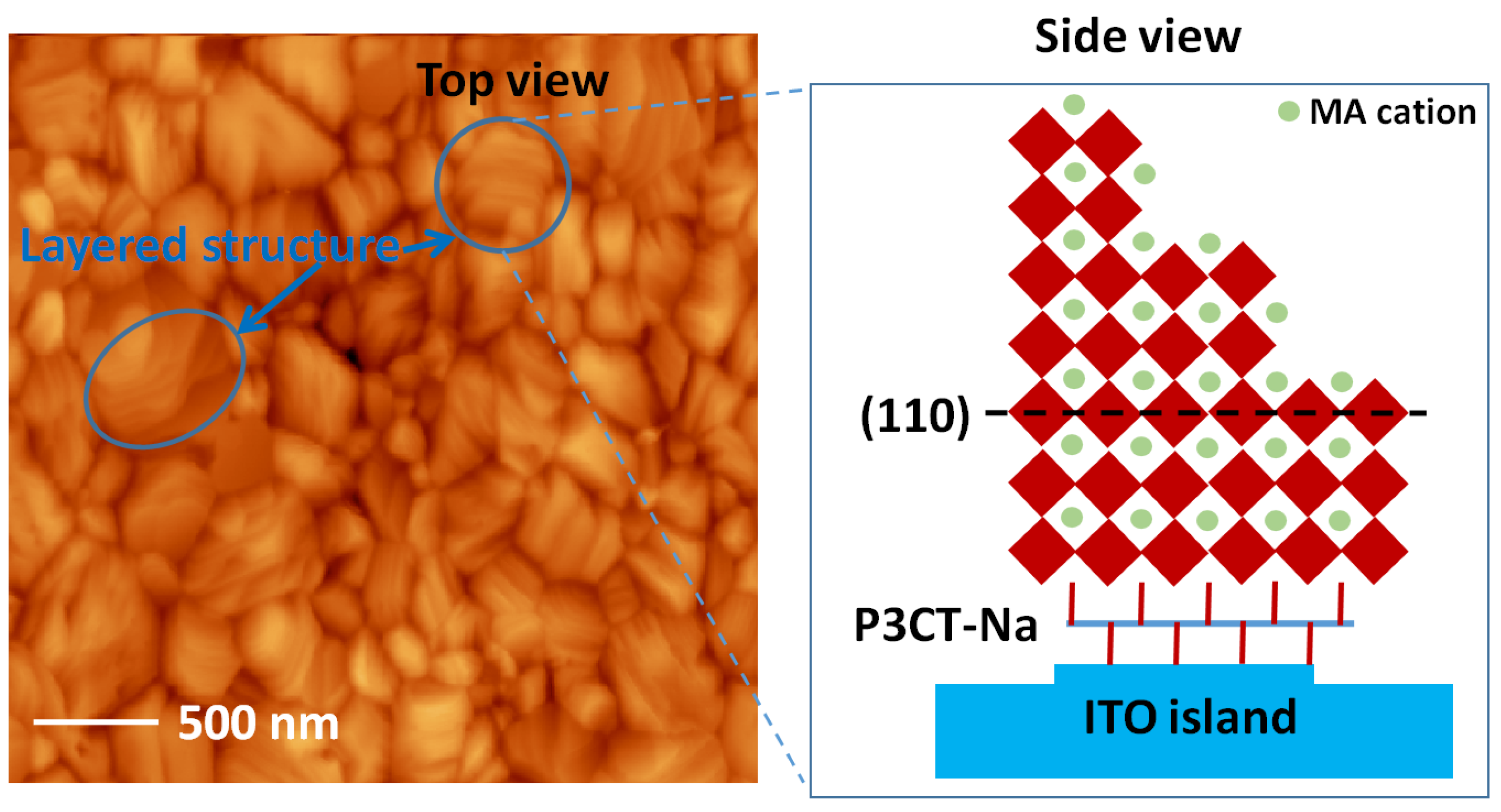 Polymers 14 00823 g010
