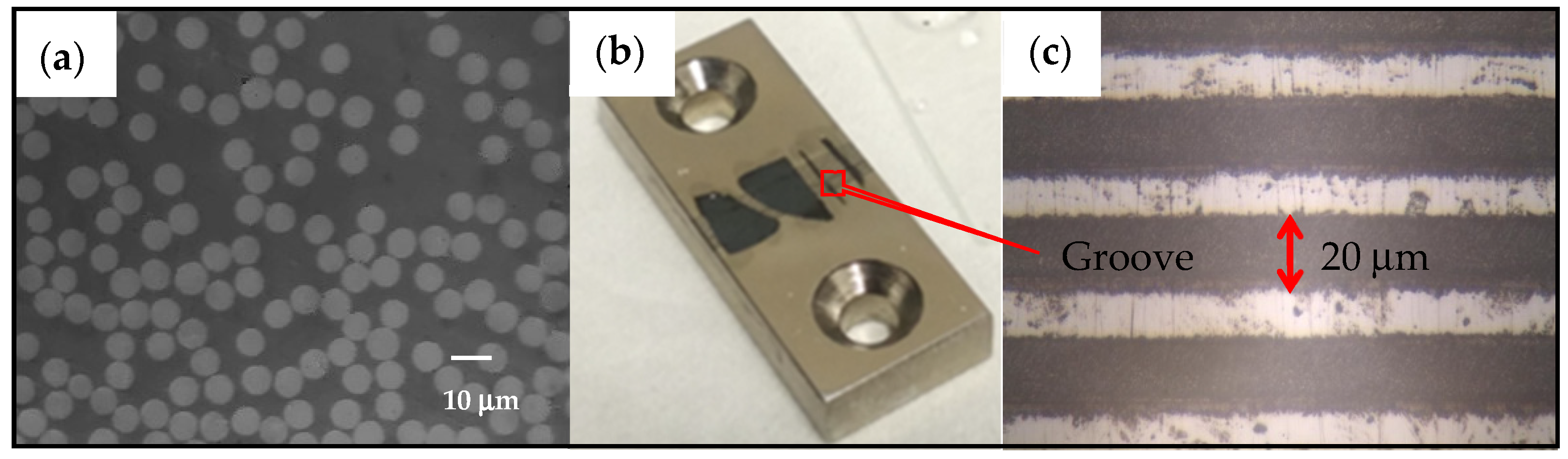 Polymers 14 00824 g002