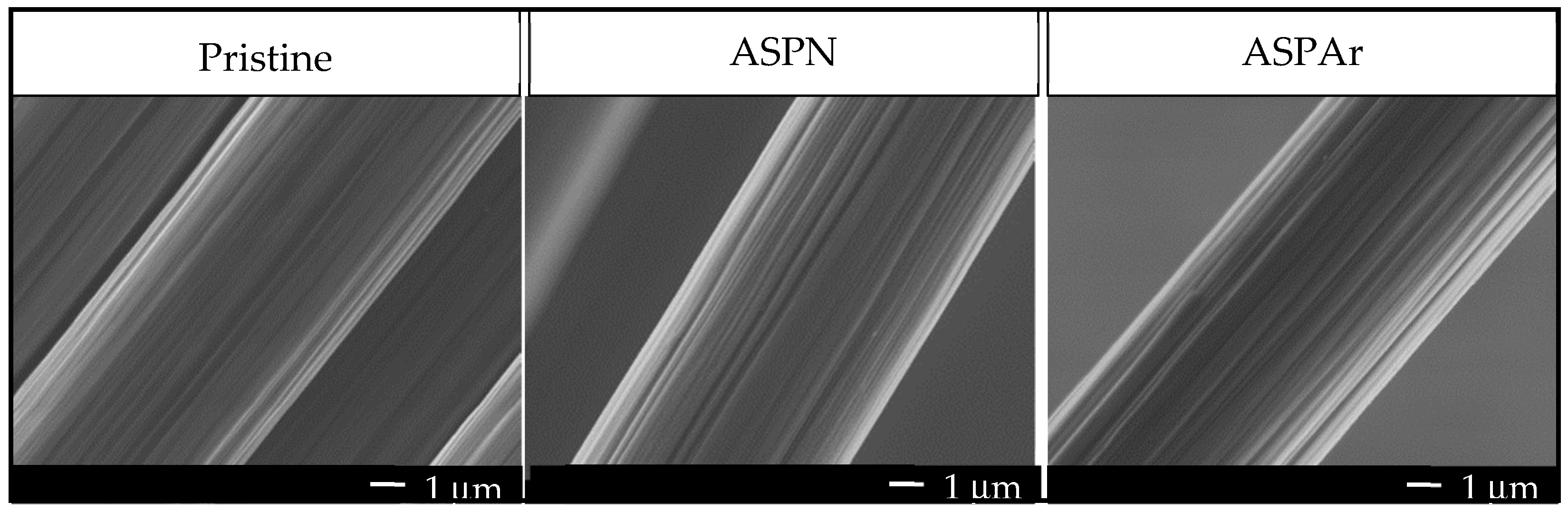 Polymers 14 00824 g005