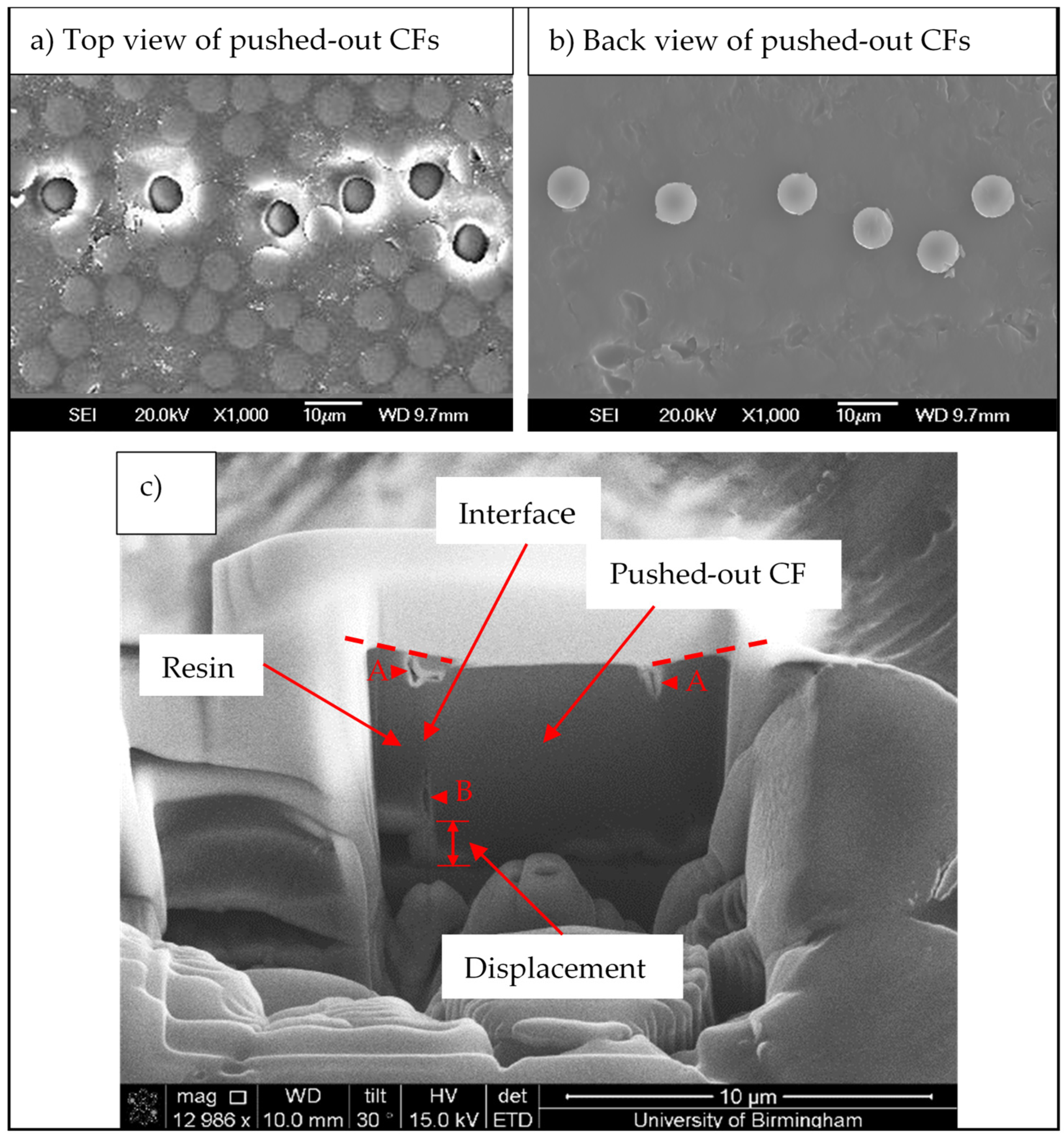 Polymers 14 00824 g009