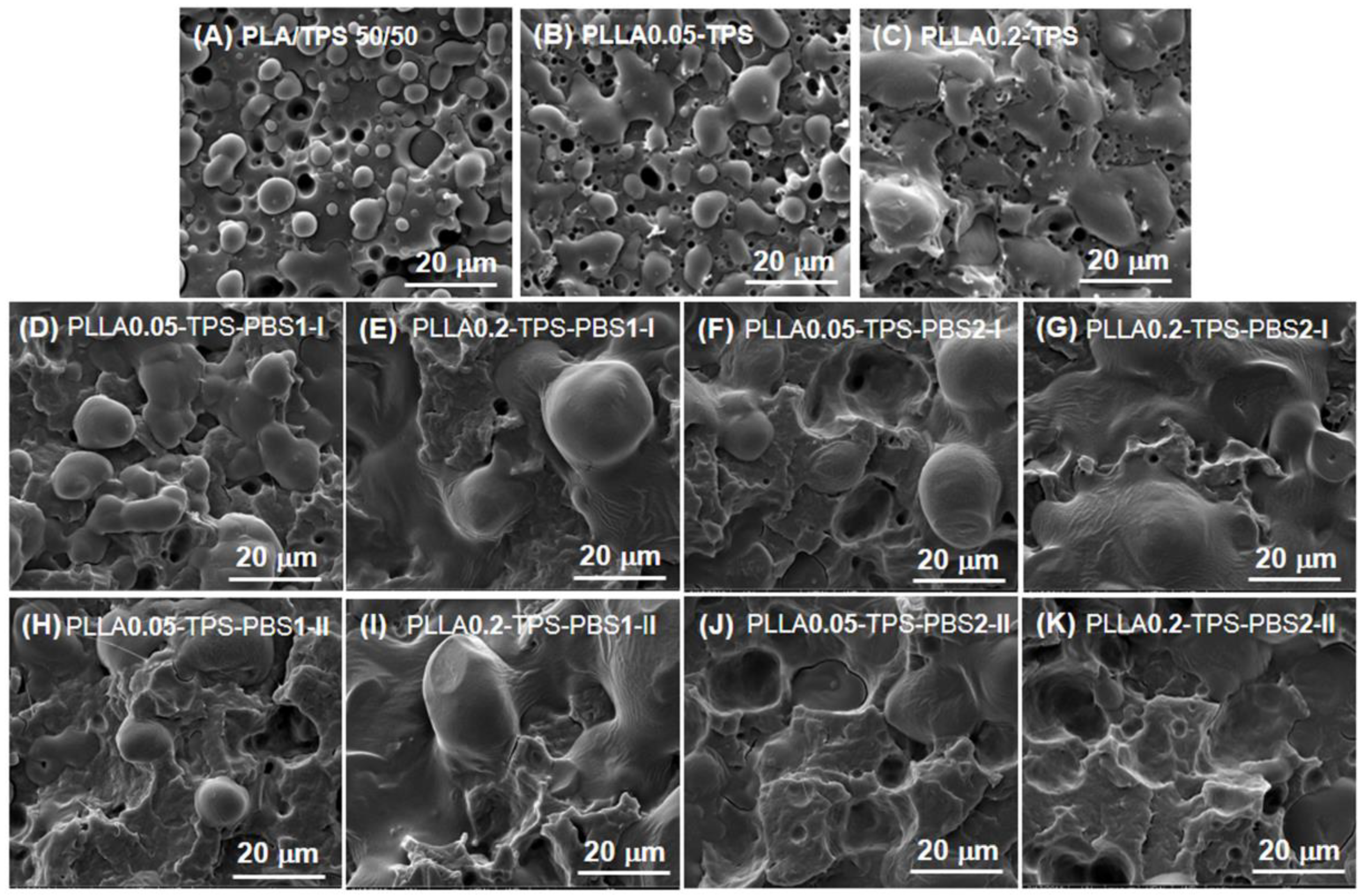 Polymers 14 00825 g004